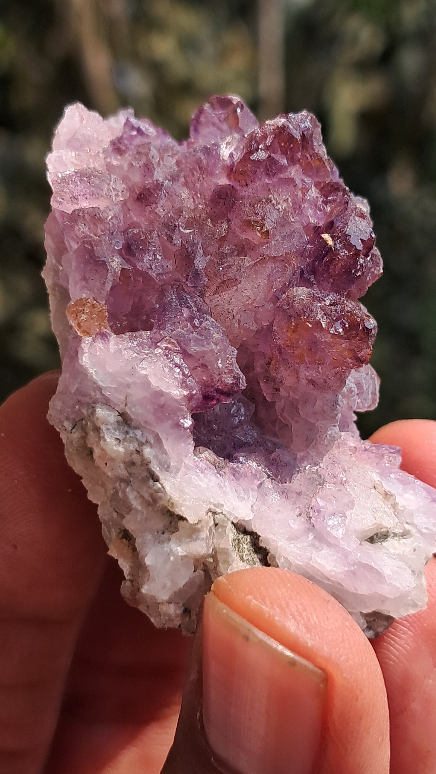 Karur Amethyst Scepter Cluster | "Super Seven" inclusions | Mineral Specimen #KA187
