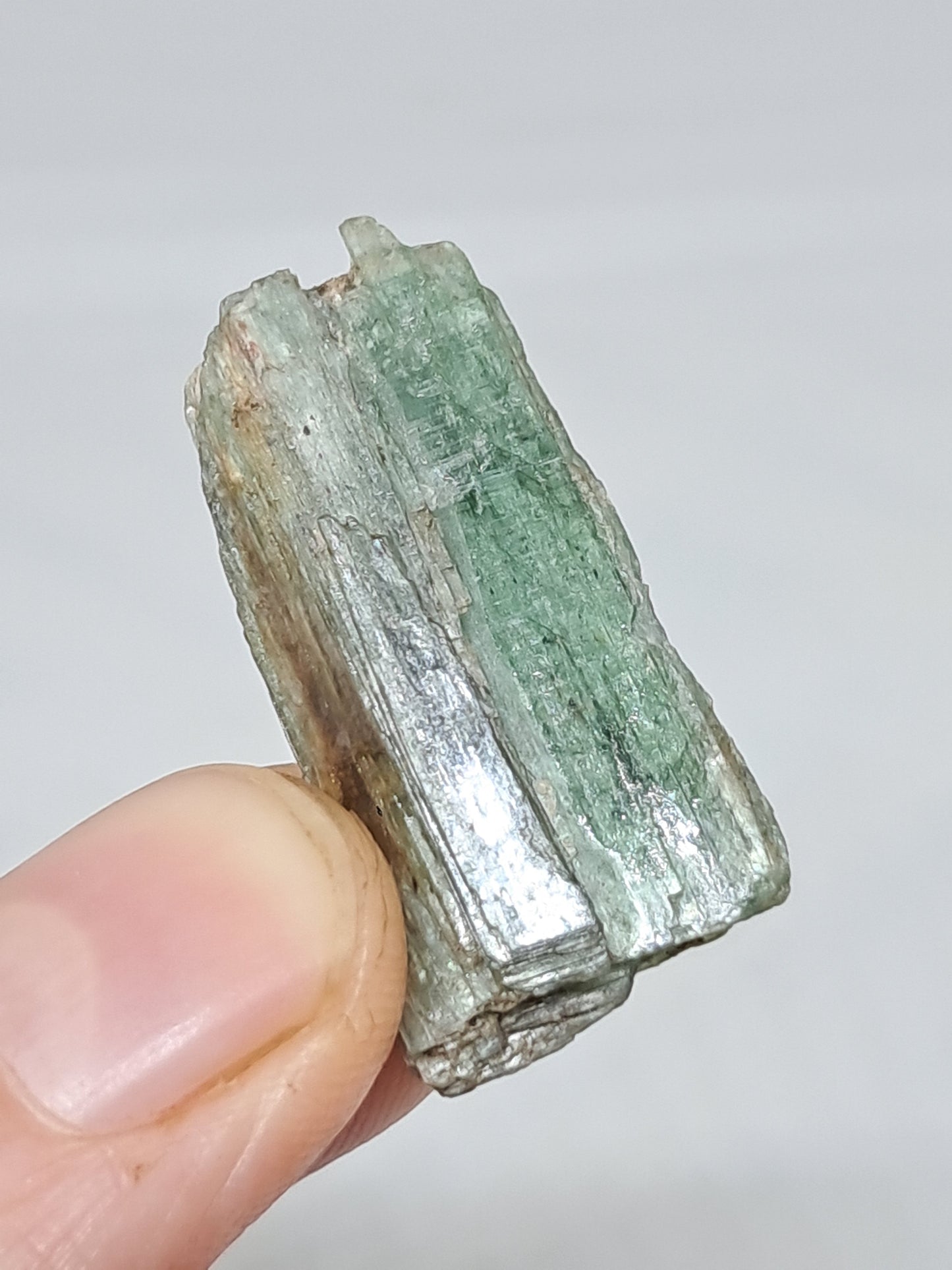 Green Kyanite (Tamil Nadu) Natural Crystal #KY8