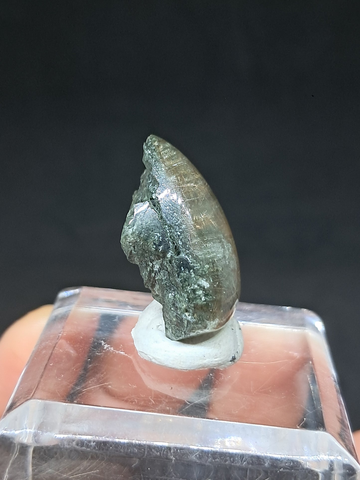 Chlorite Quartz w/ Golden Rutile (Kullu) Half Rough Half Polished | Natural Stone | Cabochon #CH51