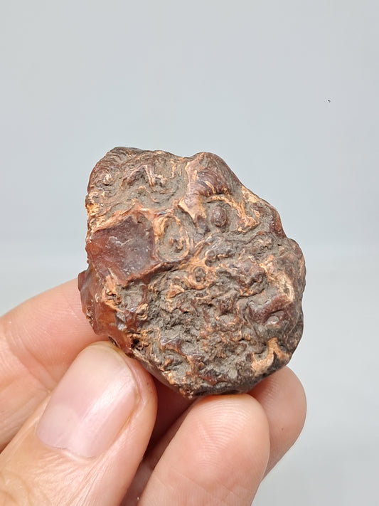 Cornalina en bruto (India) Piedra en bruto | Cristal natural | Muestra mineral #CRN36