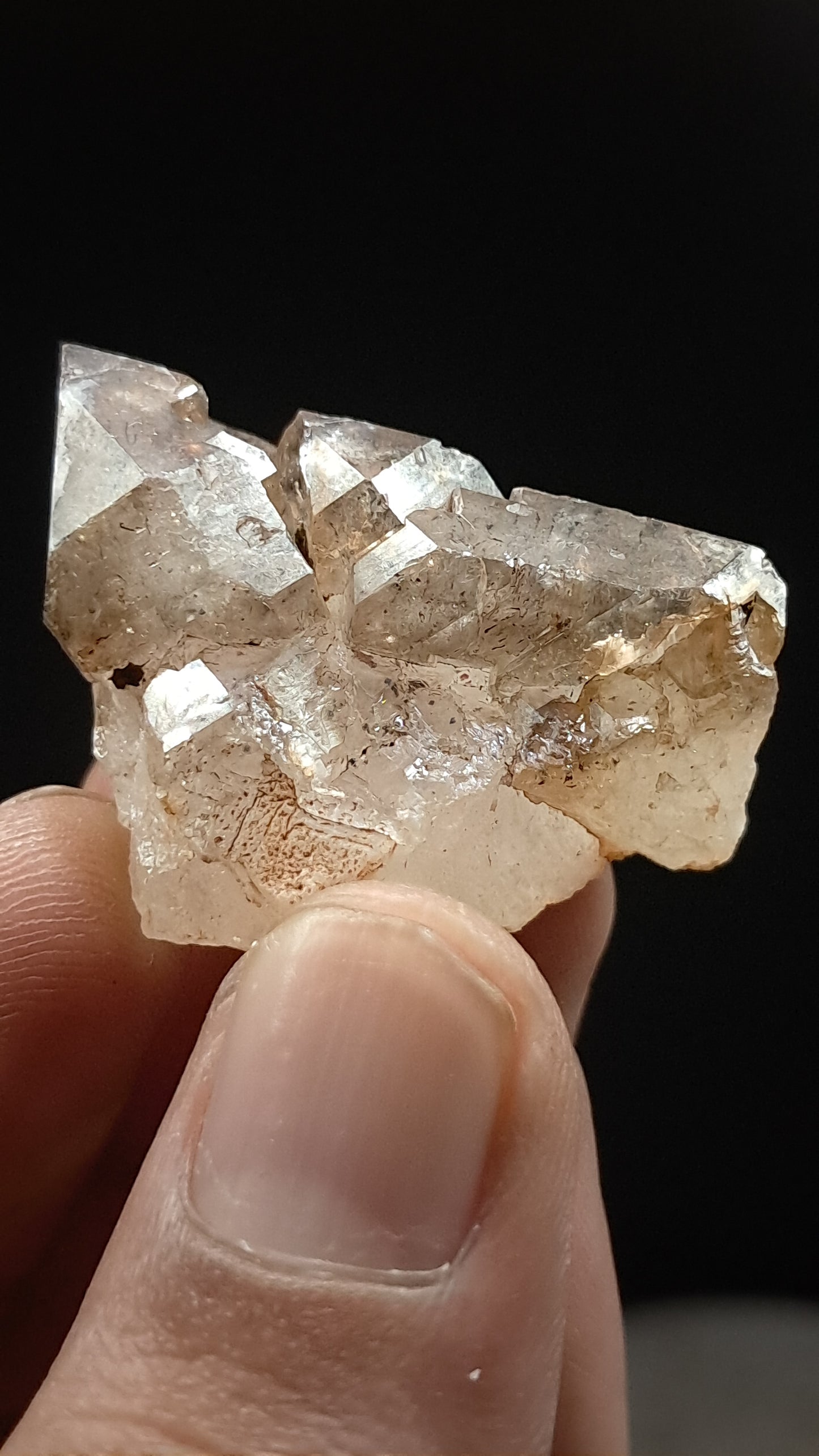 Elestial Smokey Quartz (Karur) Raw Natural Crystal Stone | Mineral Specimen #EQ21