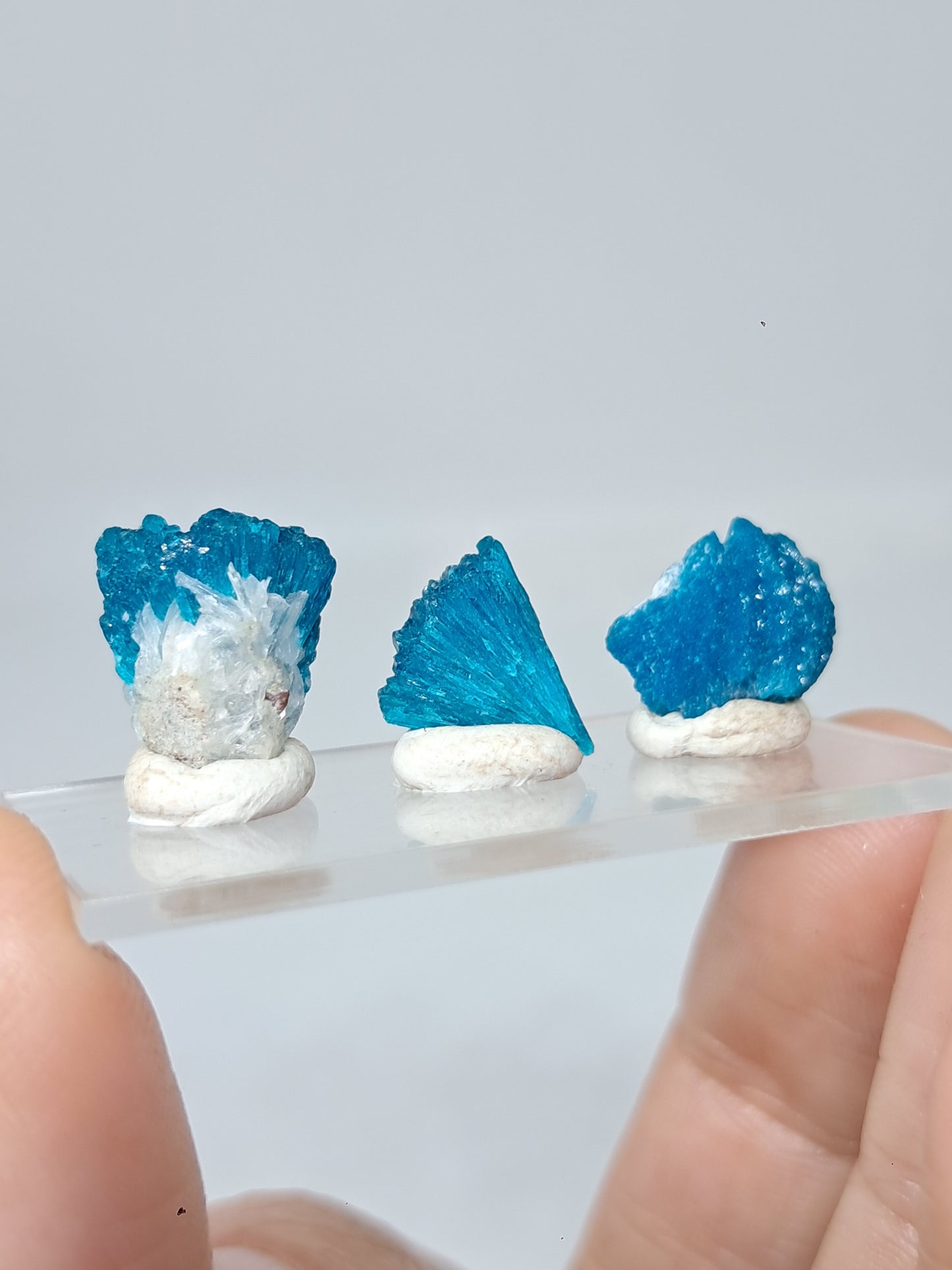 Conjunto de 3 cavansitas (wagholi) en bruto | Cristal natural | Ejemplar mineral raro n.° CV43