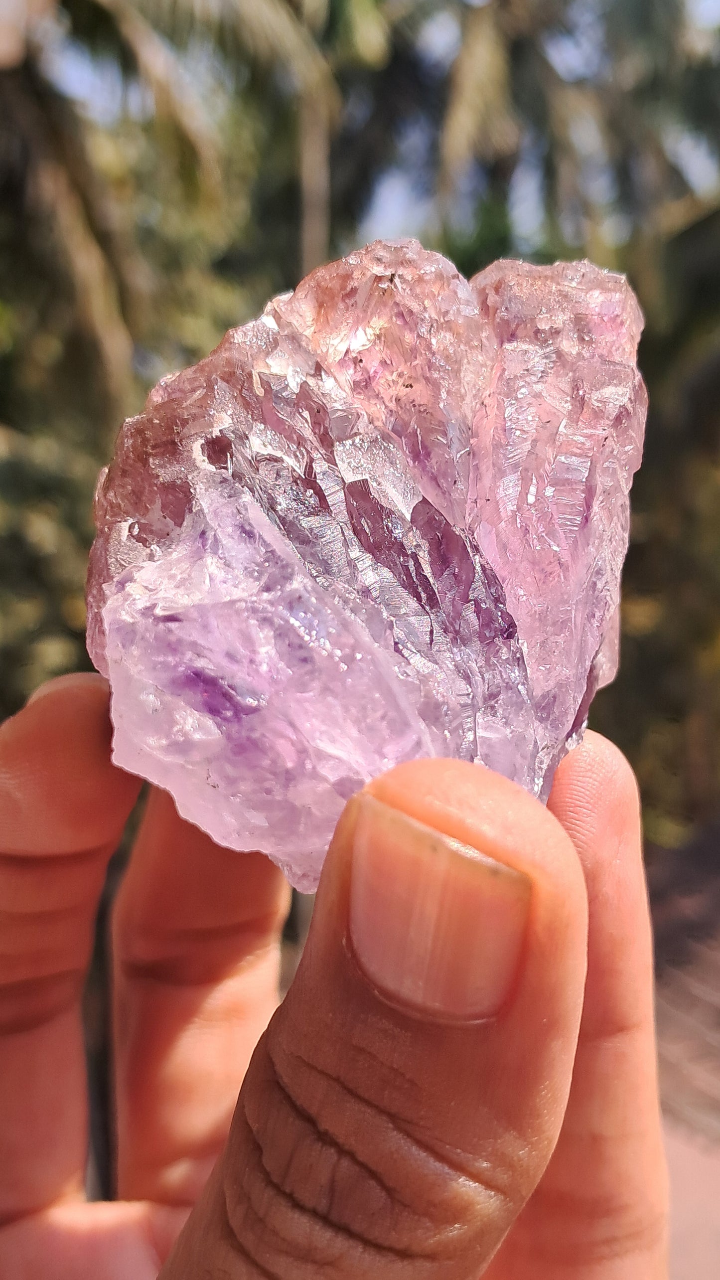 Karur Amethyst Scepter Cluster | Honeycomb Terminations | "Super Seven" inclusions | Mineral Specimen #KA186