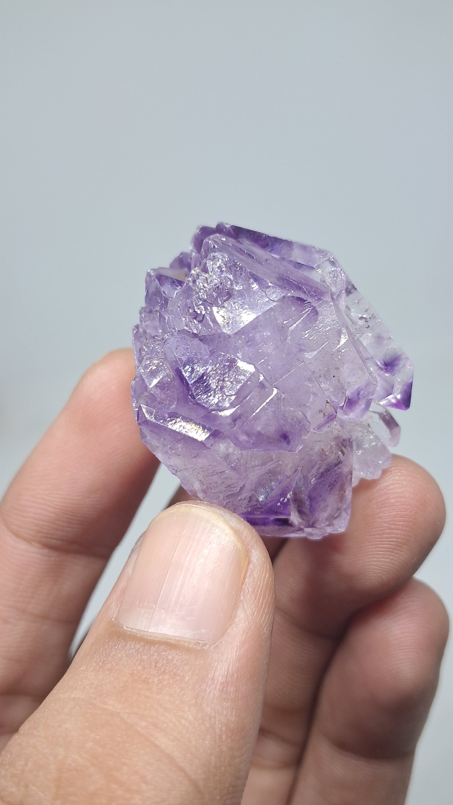 Racimo de Cetros de Amatista | Formación Elestial | Cristal Natural | Muestra Mineral #KA191