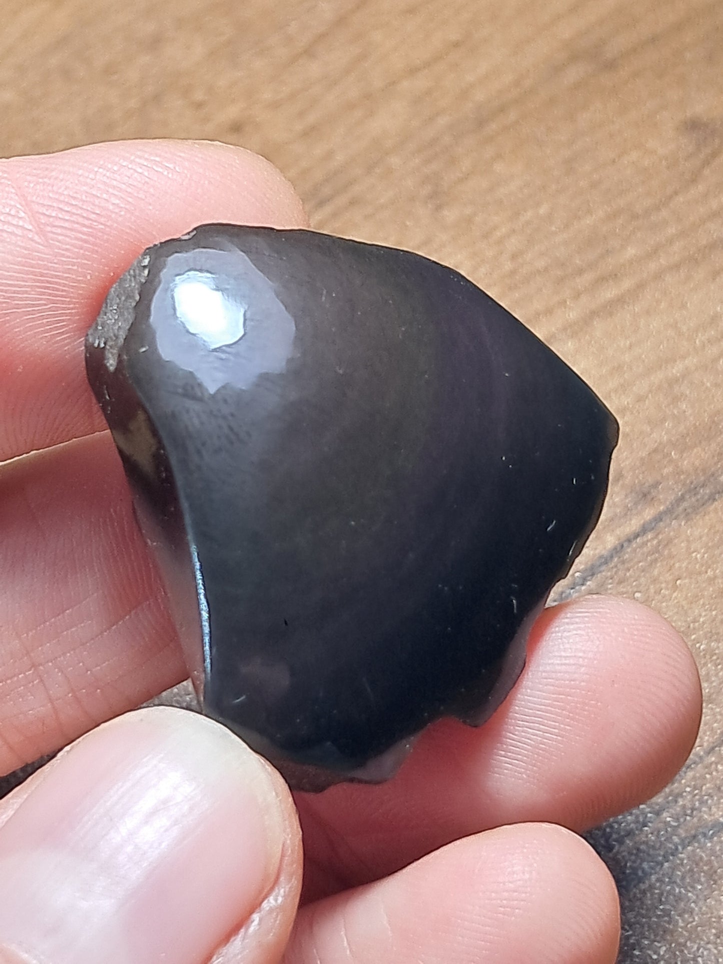 Rainbow Obsidian (Mexico) Natural Stone | Half Polished Half Rough #RO13