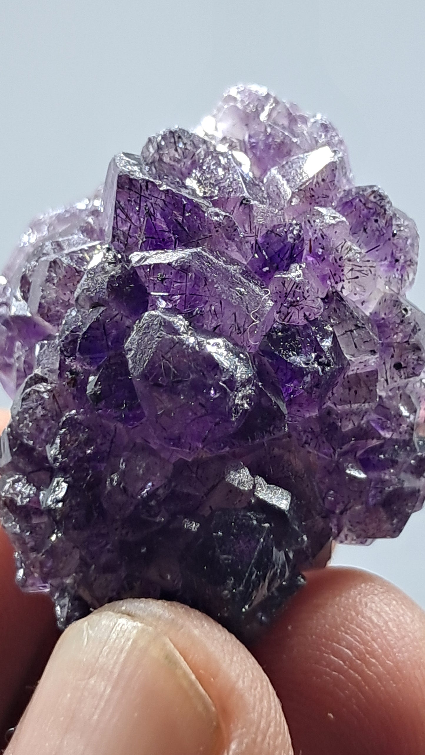 Amatista Elestial Morada Profunda | Inclusiones de Hematita Goethita Rutilo | Cristal Natural | Espécimen Mineral #KA200