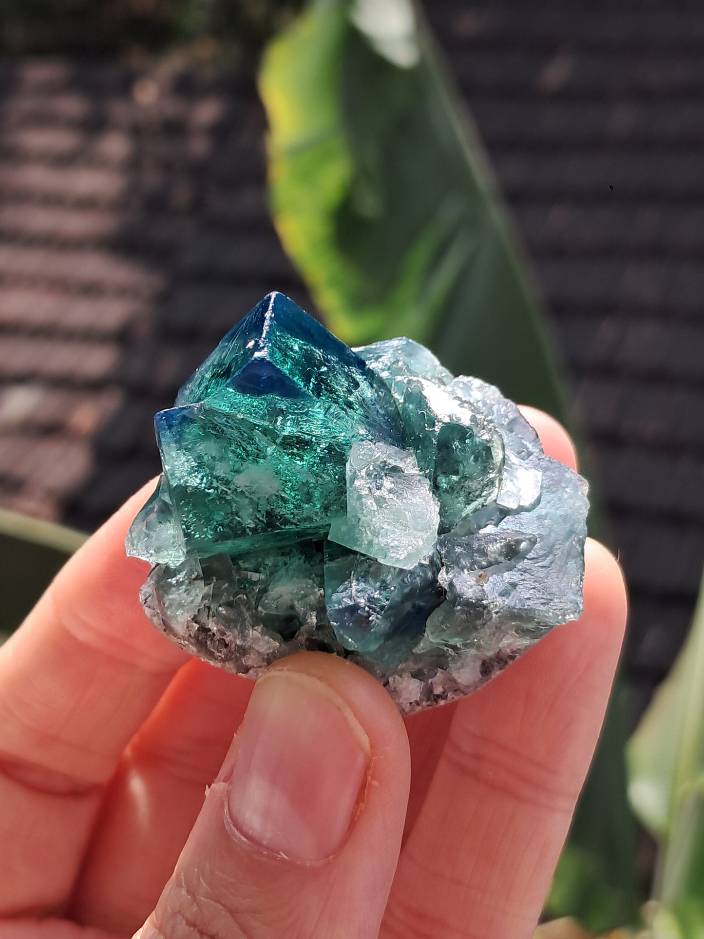 Fluorita reactiva a los rayos UV (Durham, Reino Unido) Cristal natural bicolor | Ejemplar mineral n.° FL3