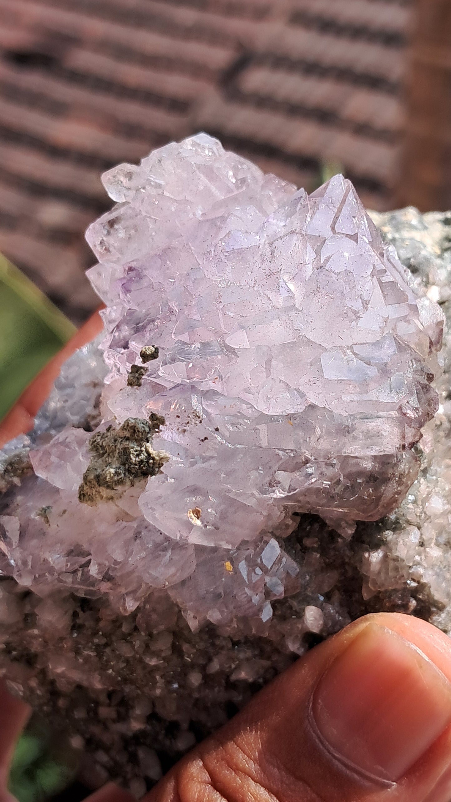 Karur Amethyst Scepter Flower w/ UV-Reactive Calcites on Matrix | Natural Formation| Super Seven Inclusions| Mineral Specimen #KA181