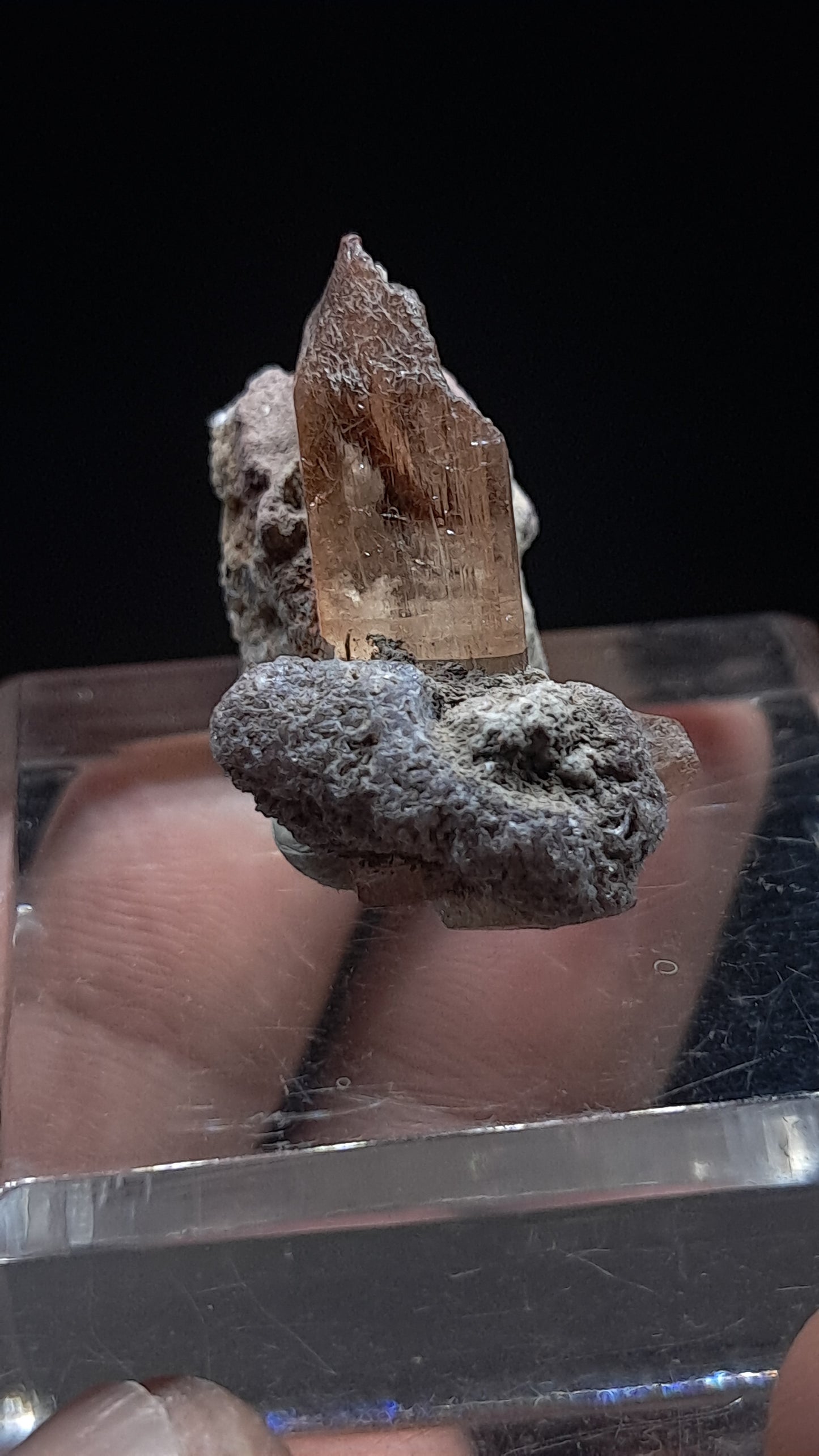 Natural Topaz Crystal In Matrix (Mexico) Champagne Colour | Rare Gemstone | Mineral Specimen #TPZ39
