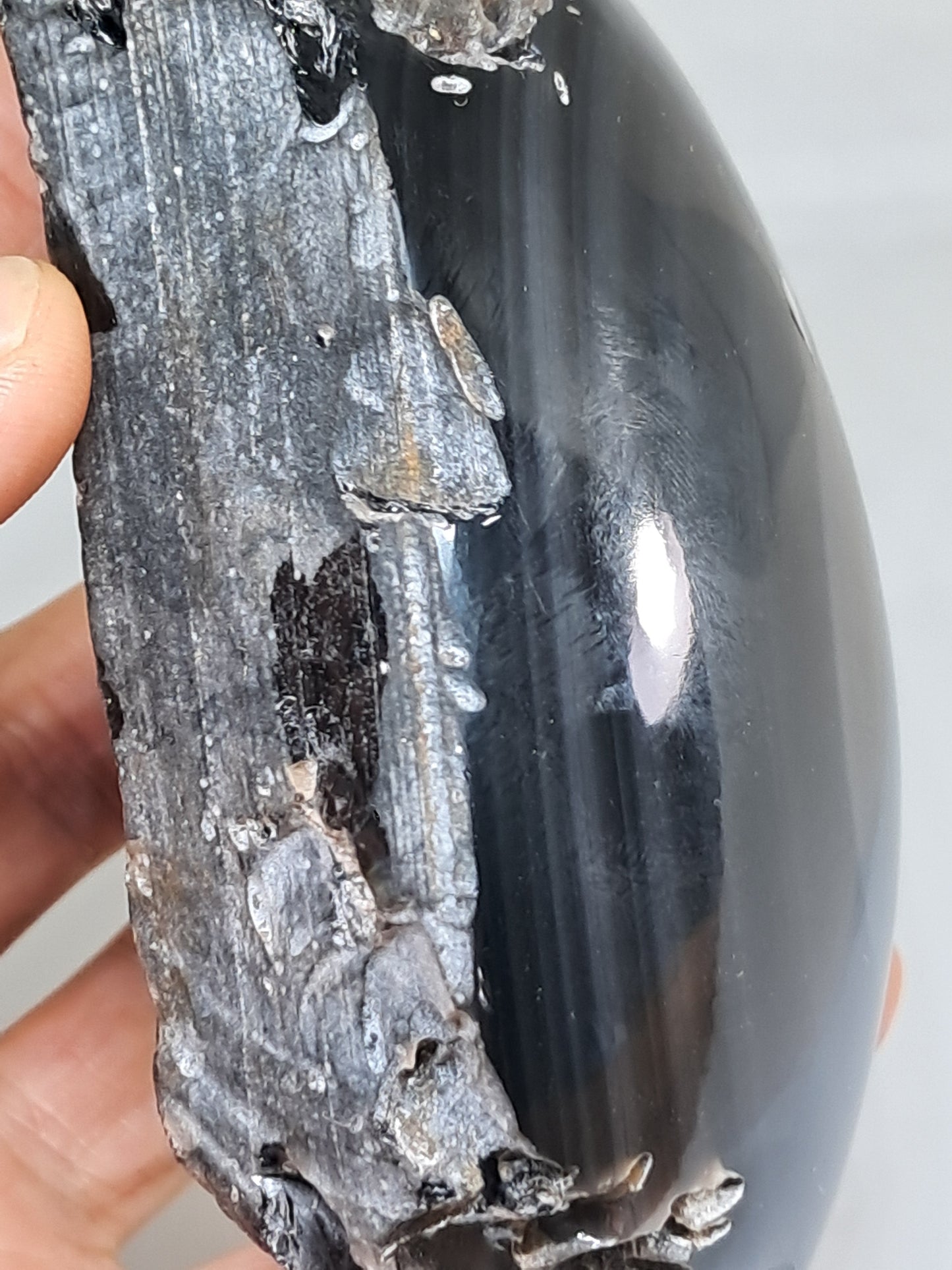 Rainbow Obsidian (Mexico) Natural Stone | Half Polished Half Rough #RO7