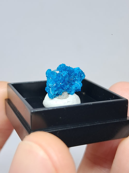 Pentagonite (Wagholi) Rough Stone | Natural Crystal | Rare Mineral Specimen #CV57