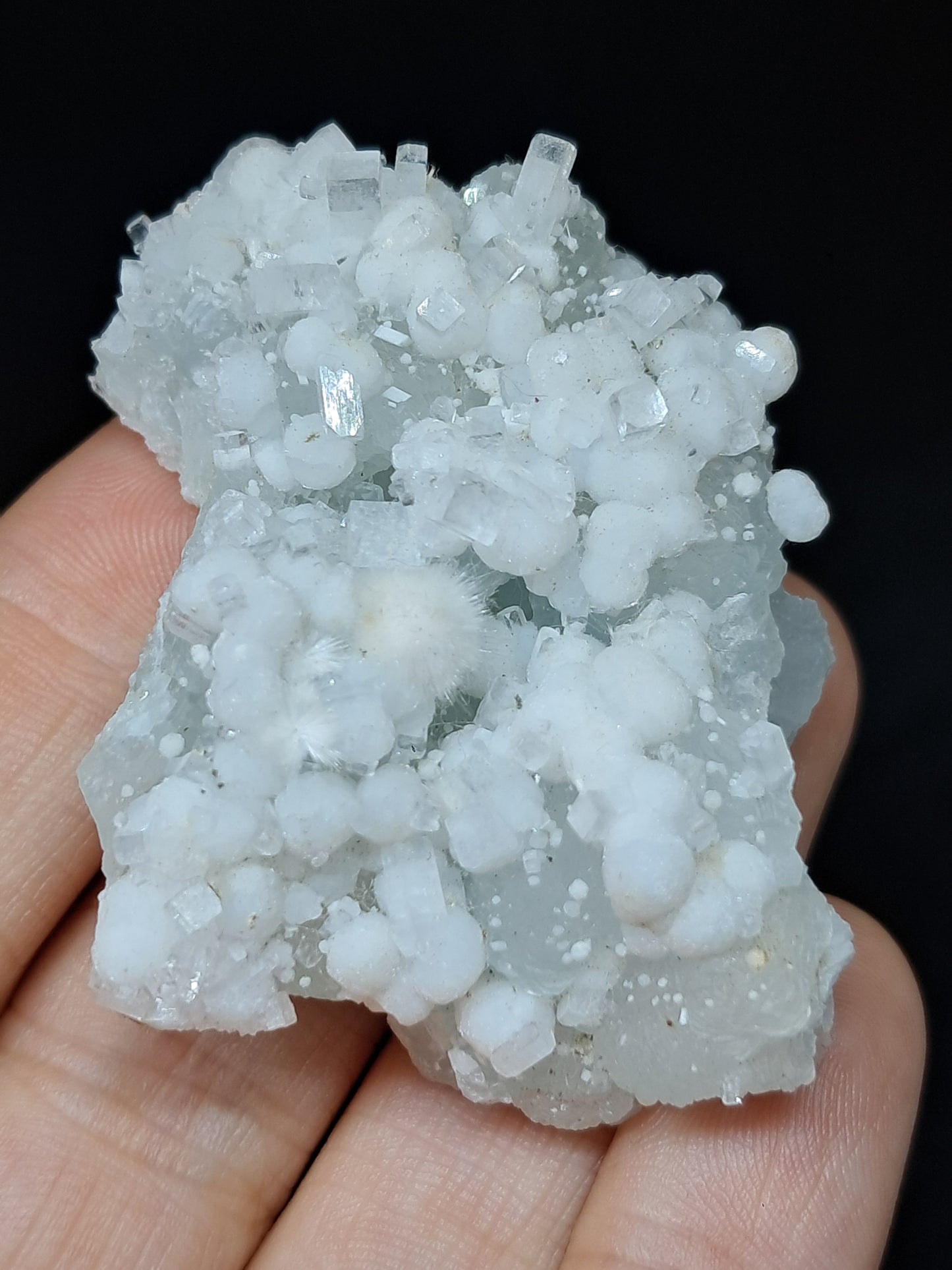 Okenite w/ Gyrolite and Apophyllite Cluster on Prehenite Matrix (Mumbai) Mineral Specimen | Collector Grade | Natural Crystal #OK46