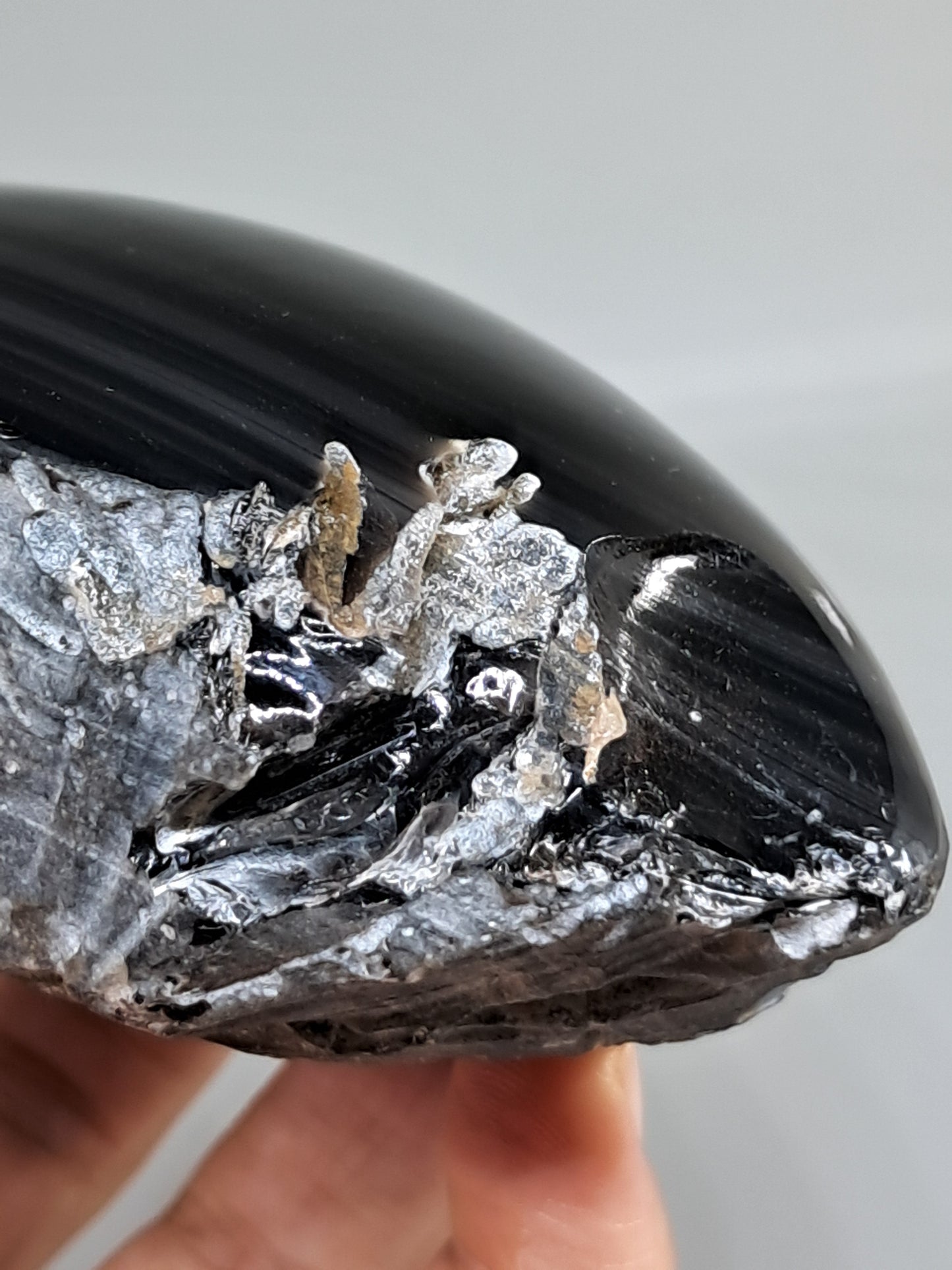 Rainbow Obsidian (Mexico) Natural Stone | Half Polished Half Rough #RO7