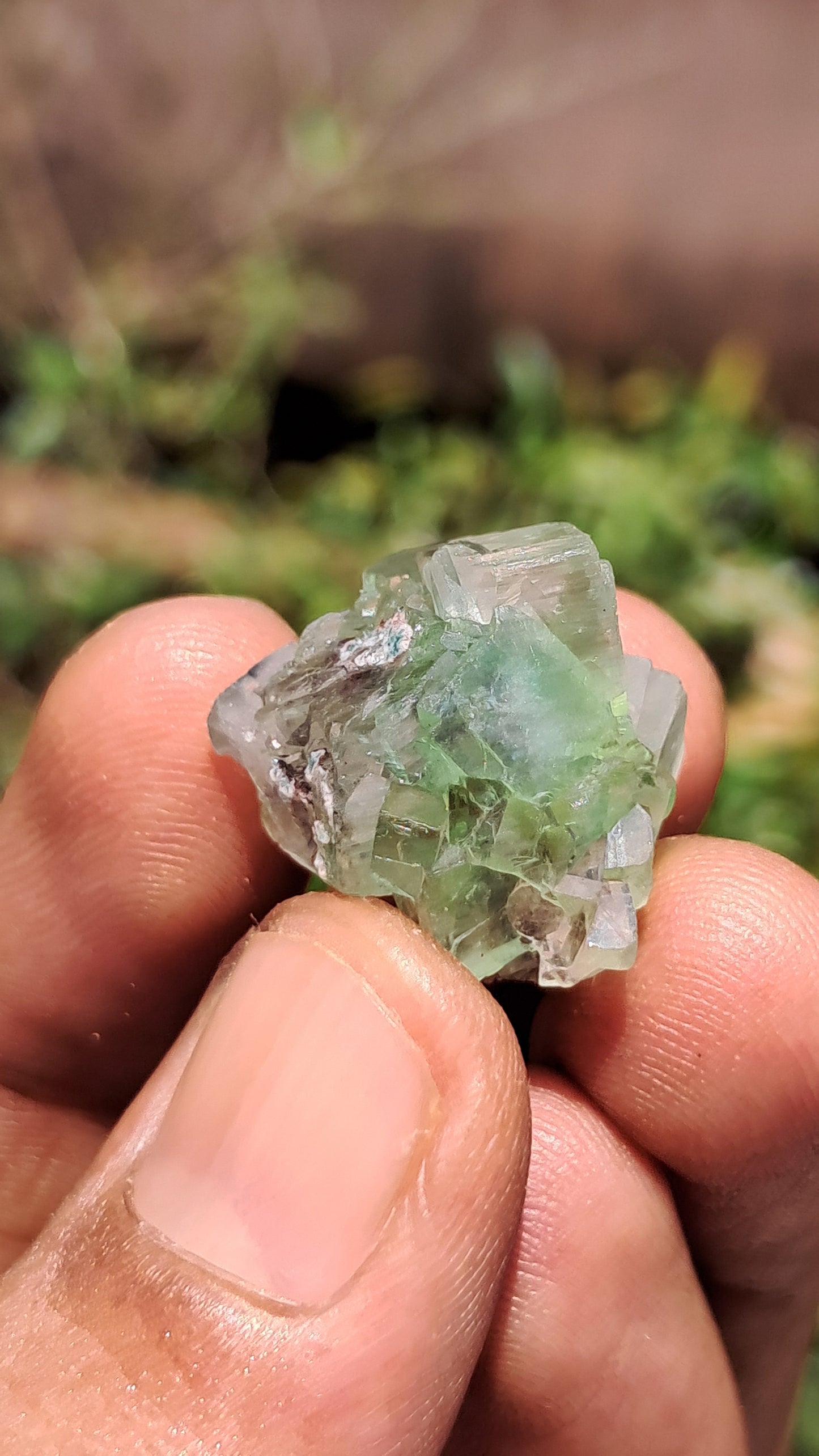 Green Apophyllite Flower (Fluorapophyllite) (Ajanta) Natural Crystal | Mineral Specimen #GA32