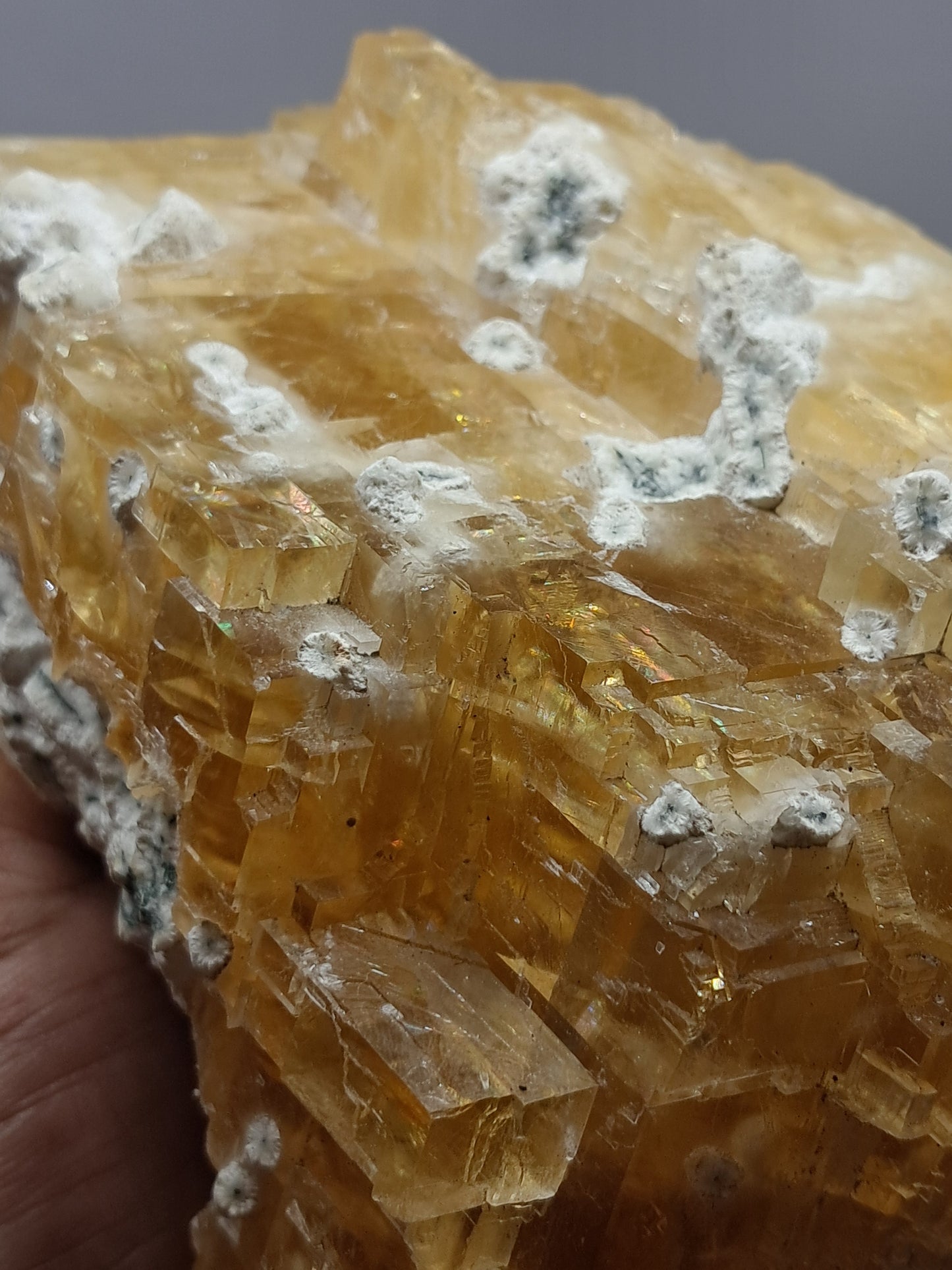 Honey Calcite w/ Okenite (India) Rough Crystal | Natural Stone | Mineral Specimen #CA20