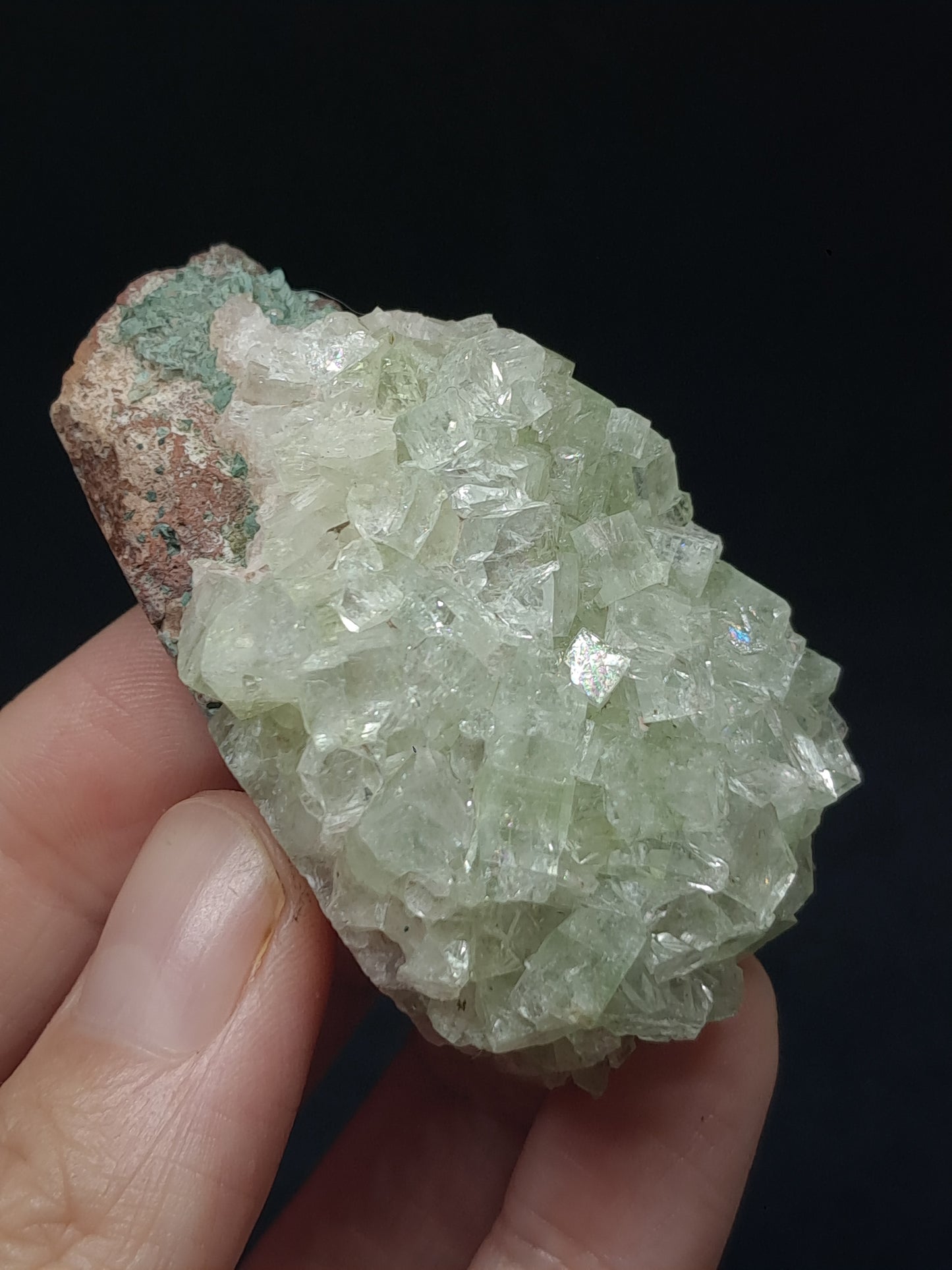 Green Apophyllite Cluster (Fluorapophyllite) (Ajanta) Rough Natural Crystal | Mineral Specimens #GA59