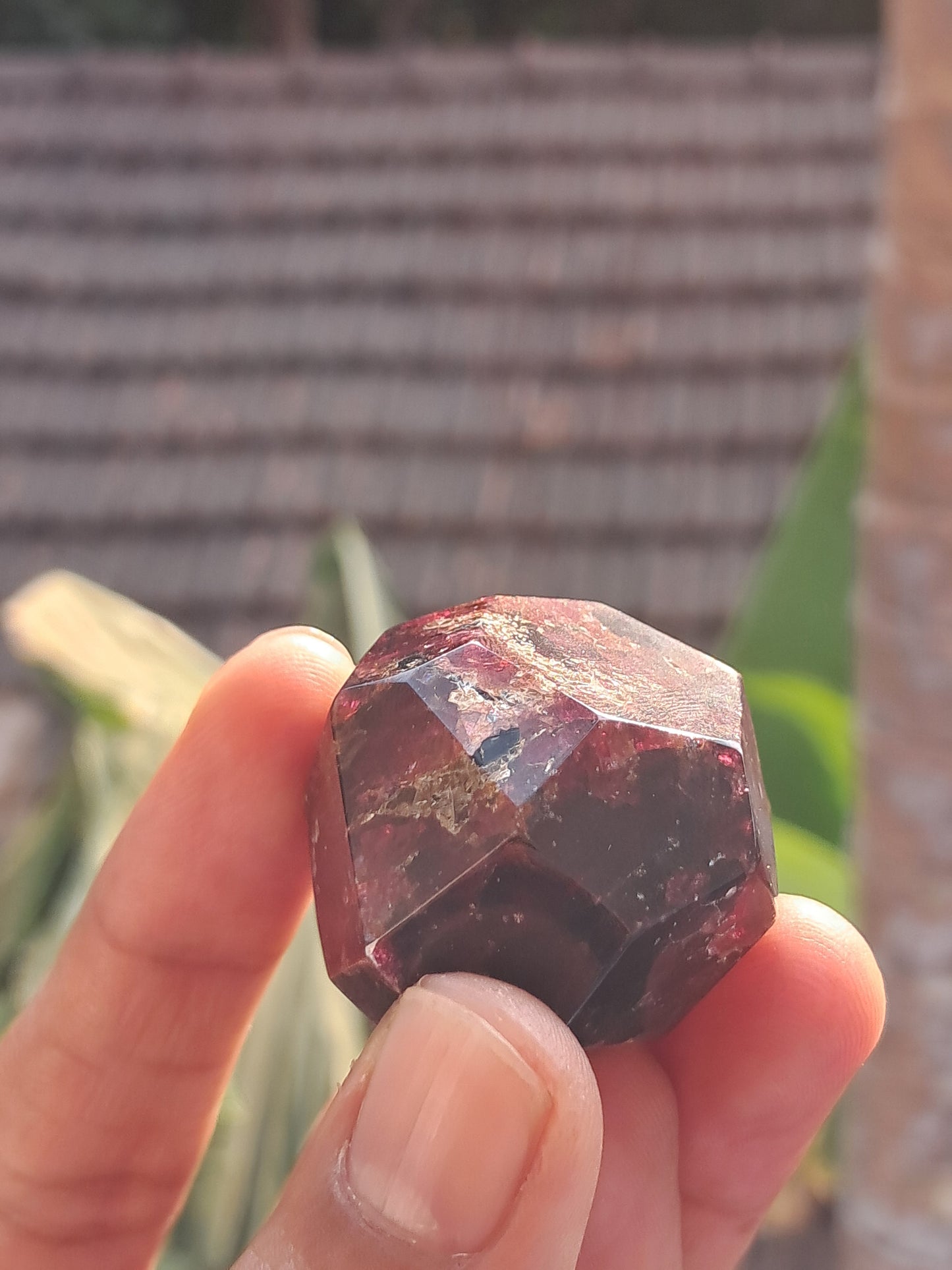 Red Garnet Natural Shape | Polished Stone #GR1