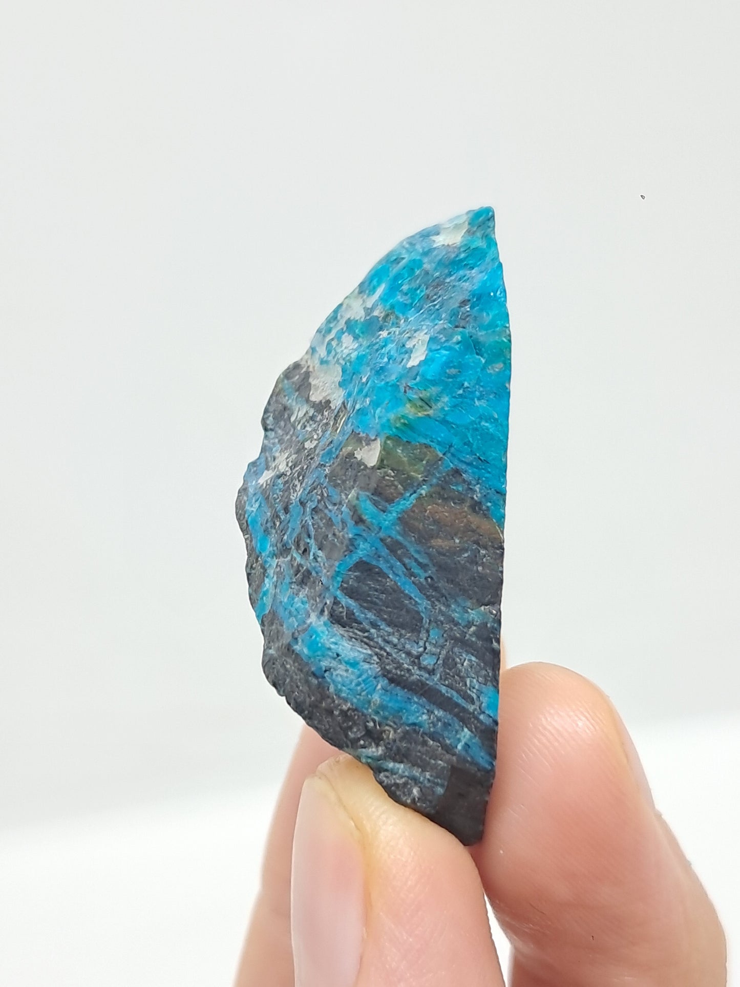 Blue Opal from Chile (Atacama) *New Find*| Rough Natural Stone | Rare Mineral Specimen #CBO3