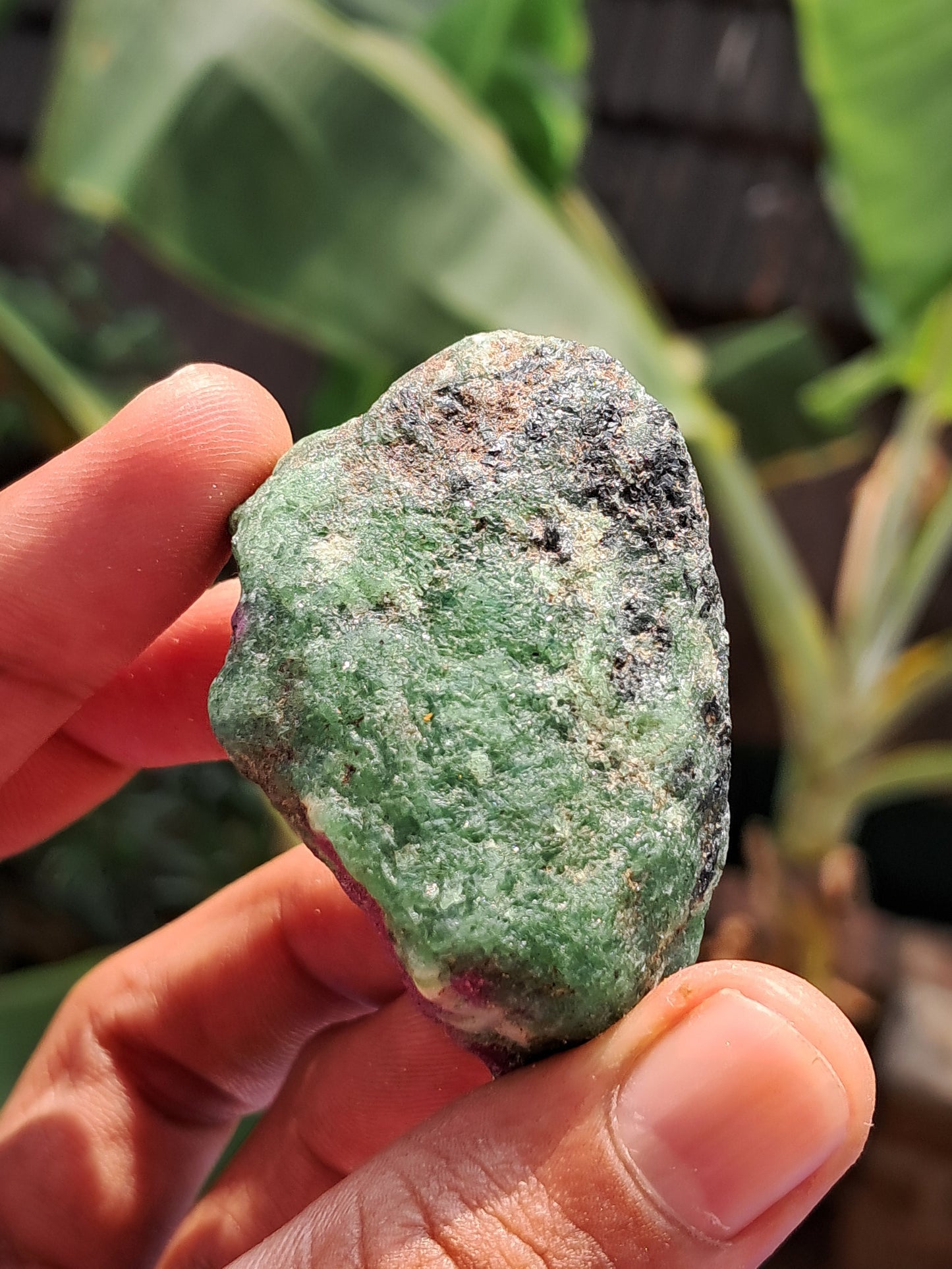 Ruby Zoisite w/ Hornblende (Tanzania) Rough Stone | Natural Specimen #RZ7