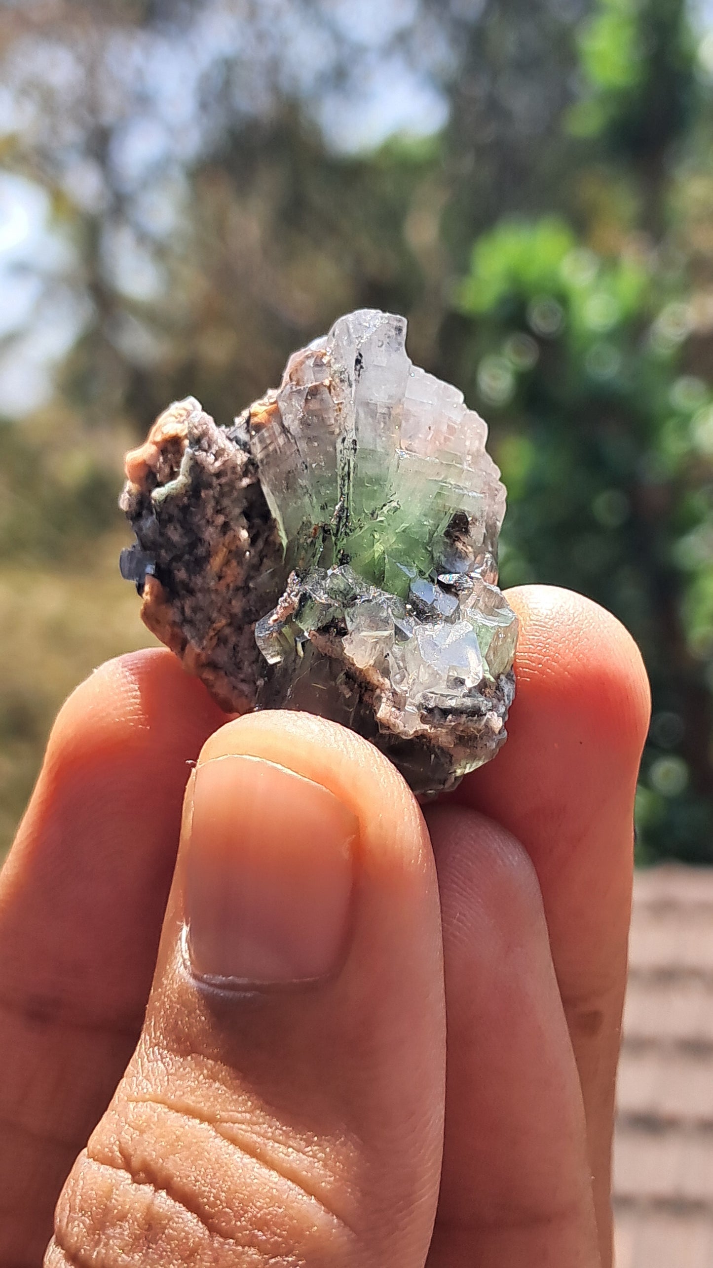 Green Apophyllite (Fluorapophyllite) (Ajanta) Natural Crystal | Mineral Specimen #GA29