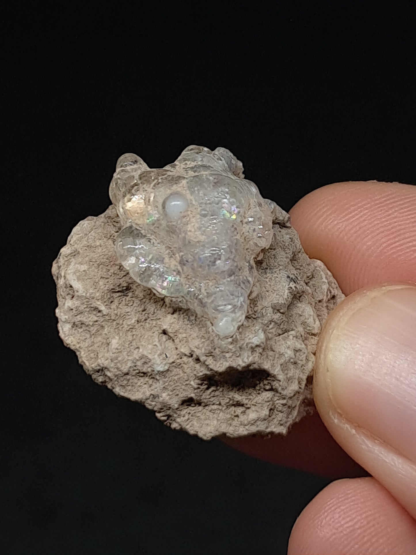 Hyalite Opal on Matrix (Mexico) Rough Crystal Stone | UV-Reactive Mineral Specimen #OH10