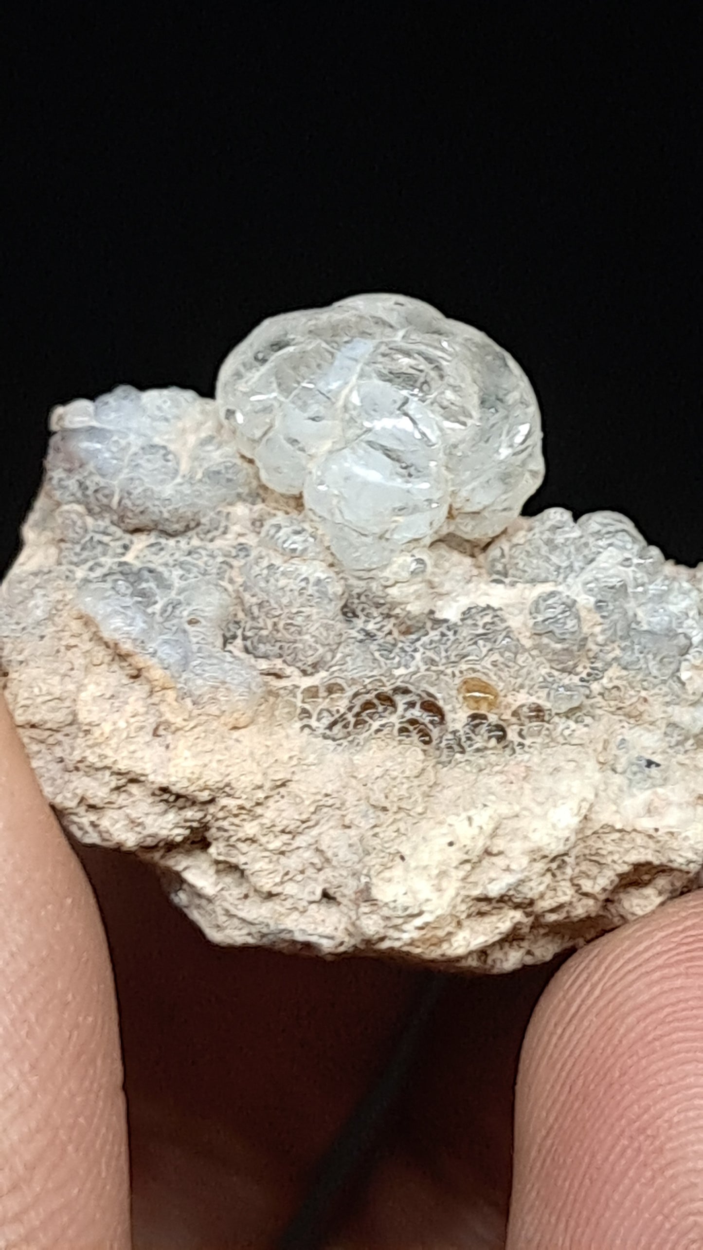Hyalite Opal on Matrix (Mexico) Rough Crystal Stone | UV-Reactive Mineral Specimen #OH1
