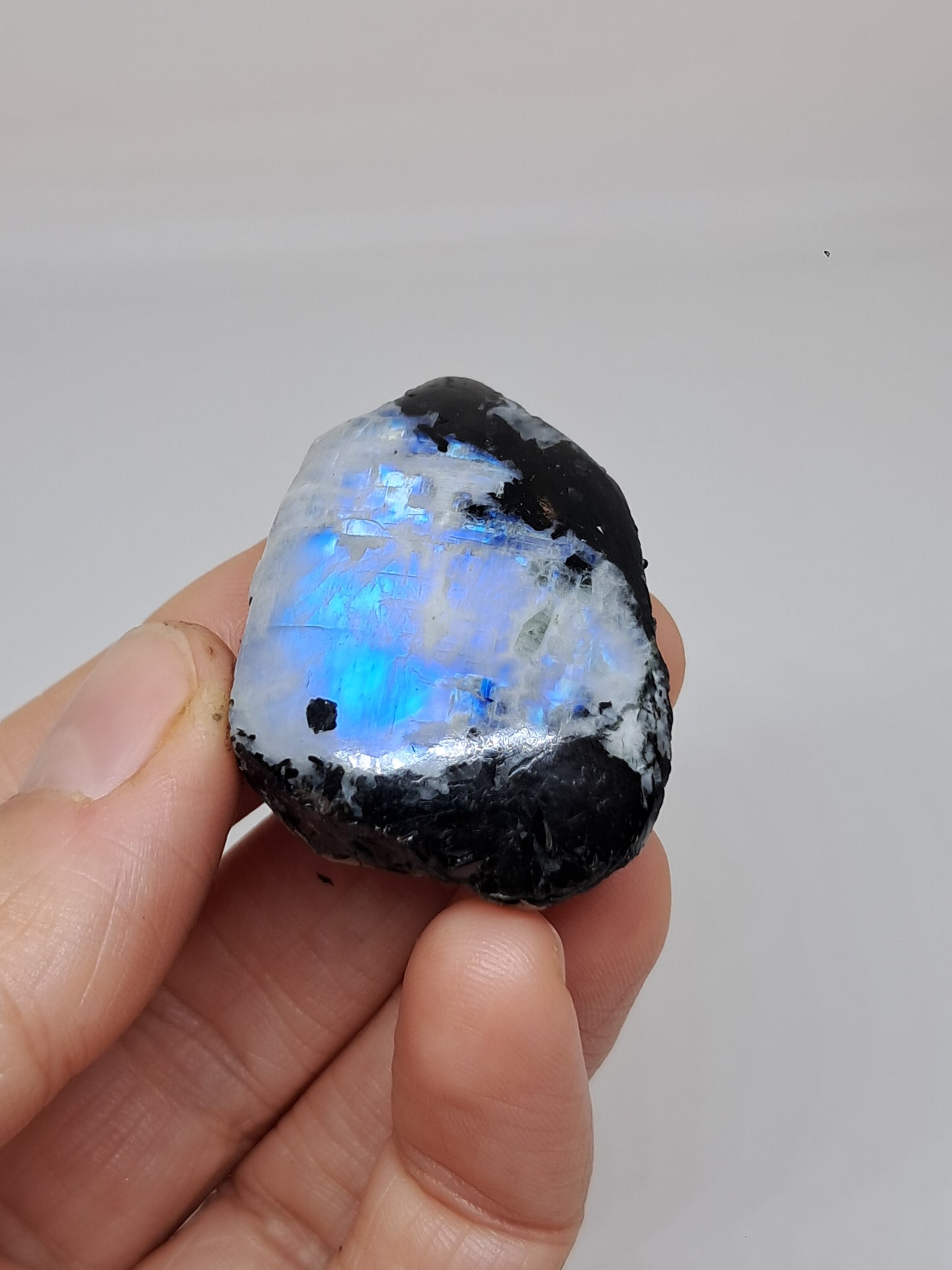 White Labradorite | Rainbow Moonstone *High Grade* (Tamil Nadu) Rough & Polished Stone | Natural Rock #MN23