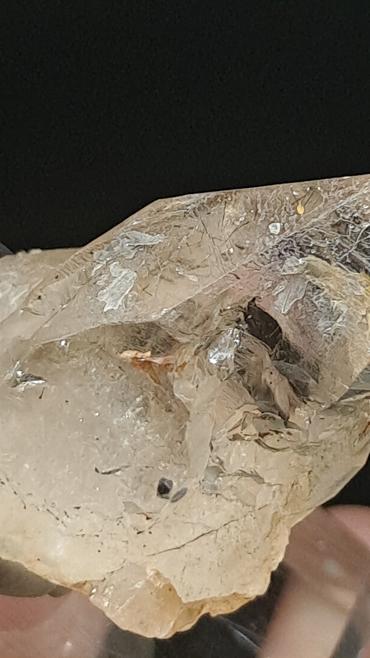 Smokey Elestial Quartz (Karur) Interesting Inclusions | Mineral Specimen #EQ30