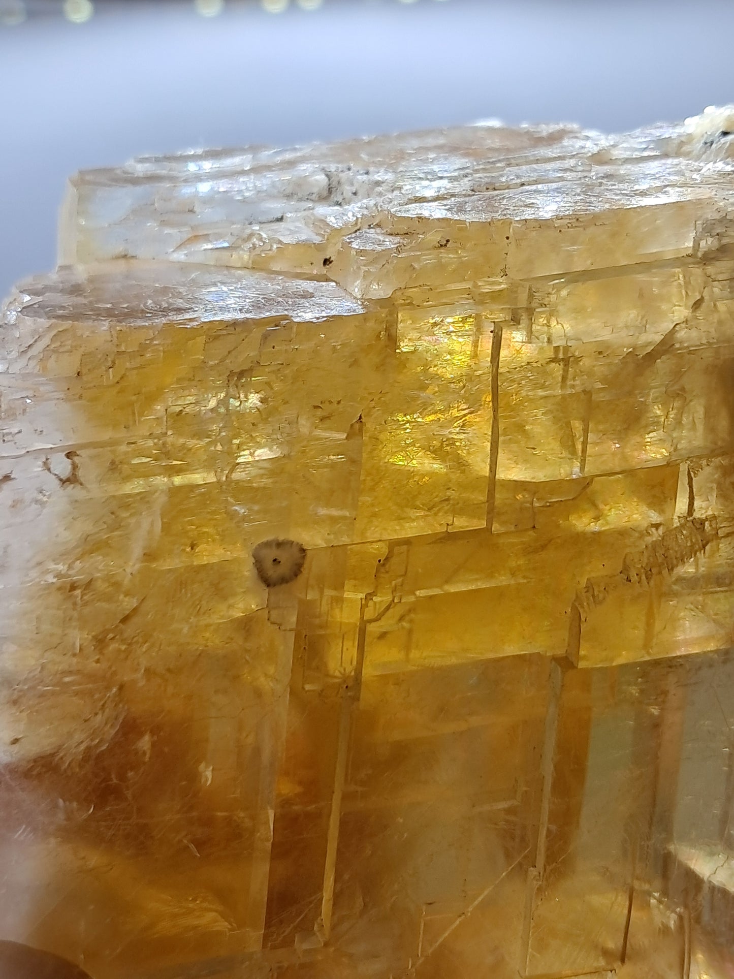 Honey Calcite w/ Okenite (India) Rough Crystal | Natural Stone | Mineral Specimen #CA15