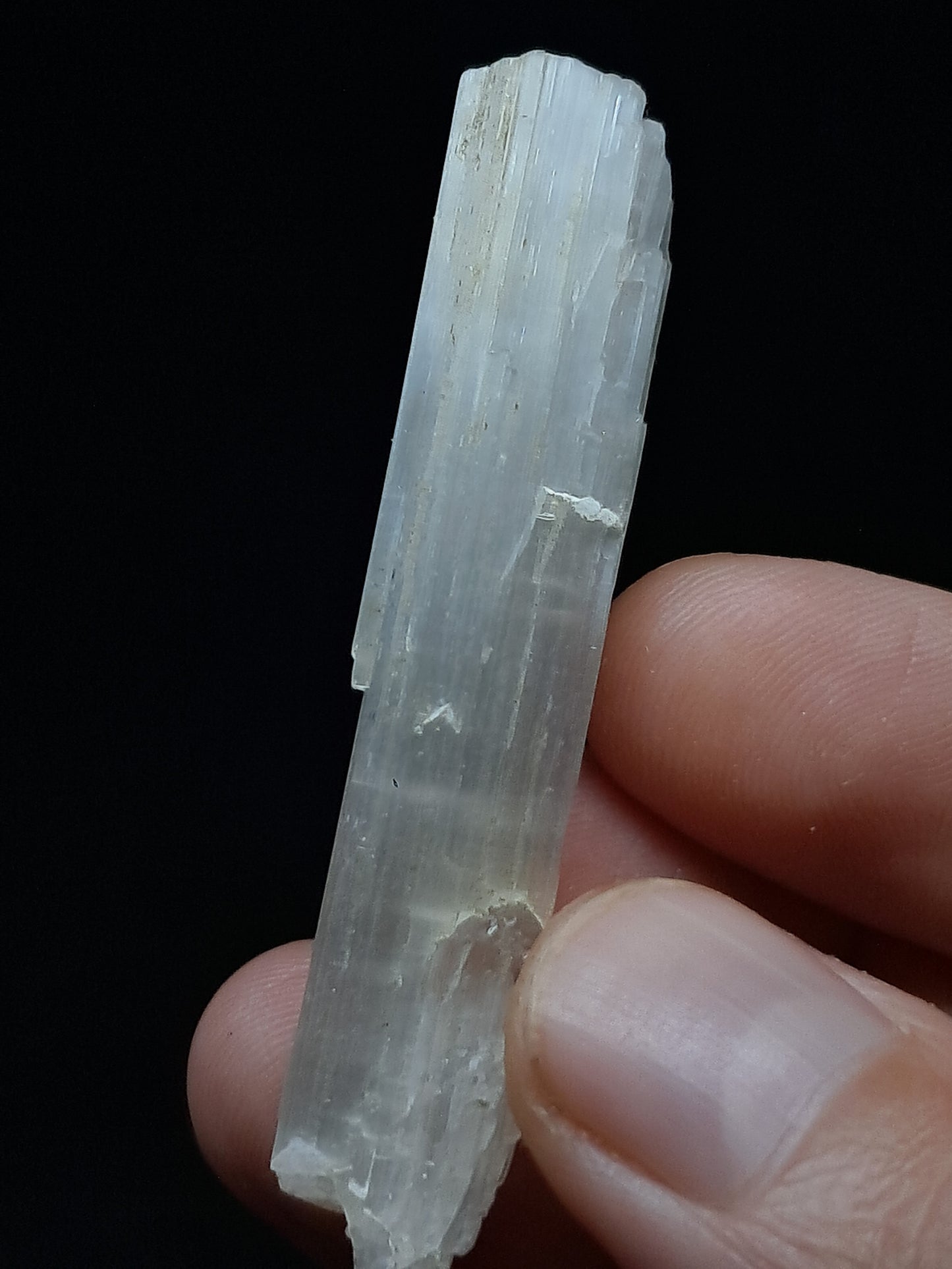 Satin Spar *Selenite* (India) Fibrous Gypsum | Mineral Specimen | Rough Crystal #SE7