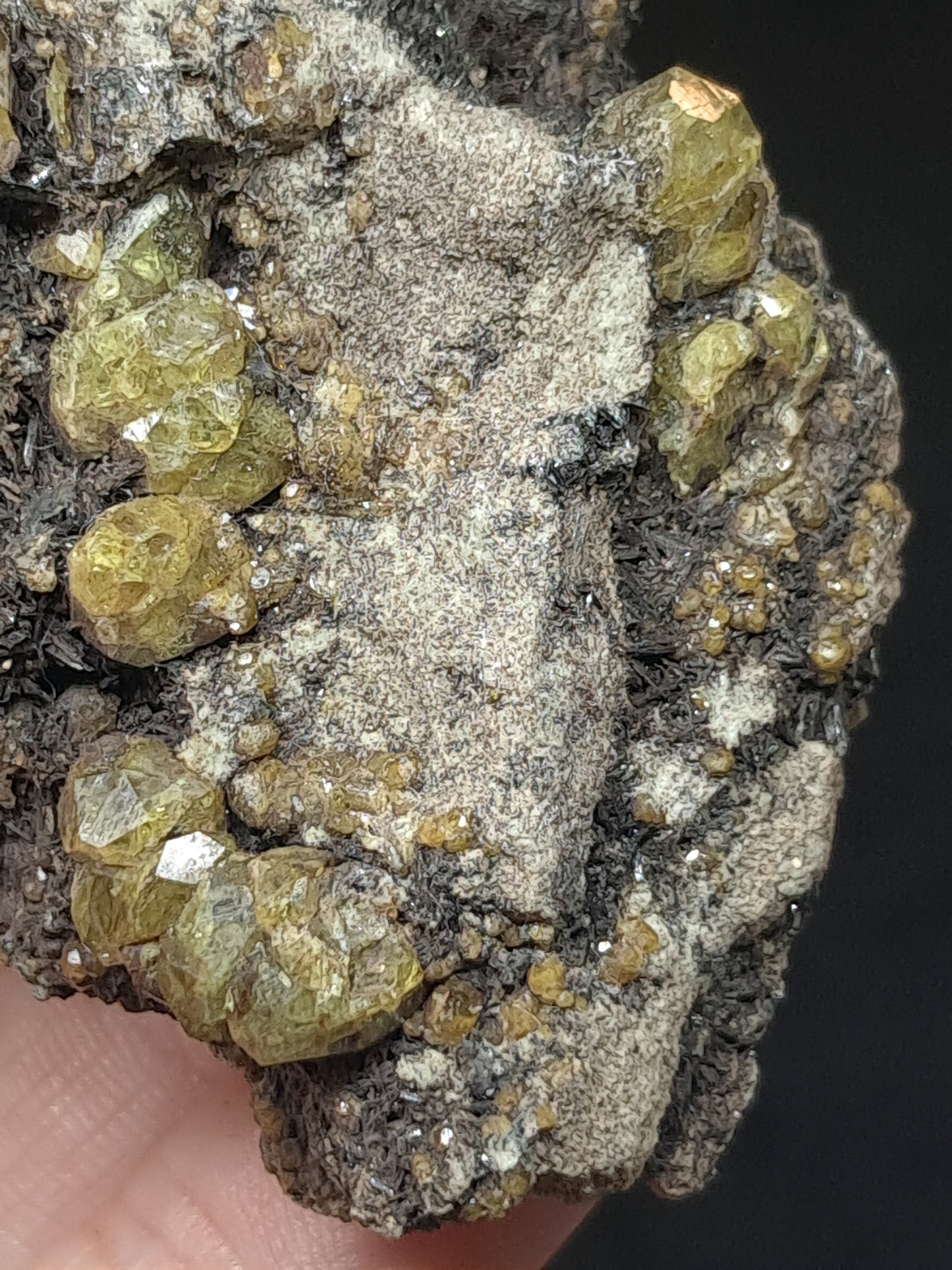 Green Garnet w/ Aegirine (Acmite) on Matrix (Mexico) Andradite Garnet Cluster |Rough Crystal Stone | Mineral Specimen #GR30