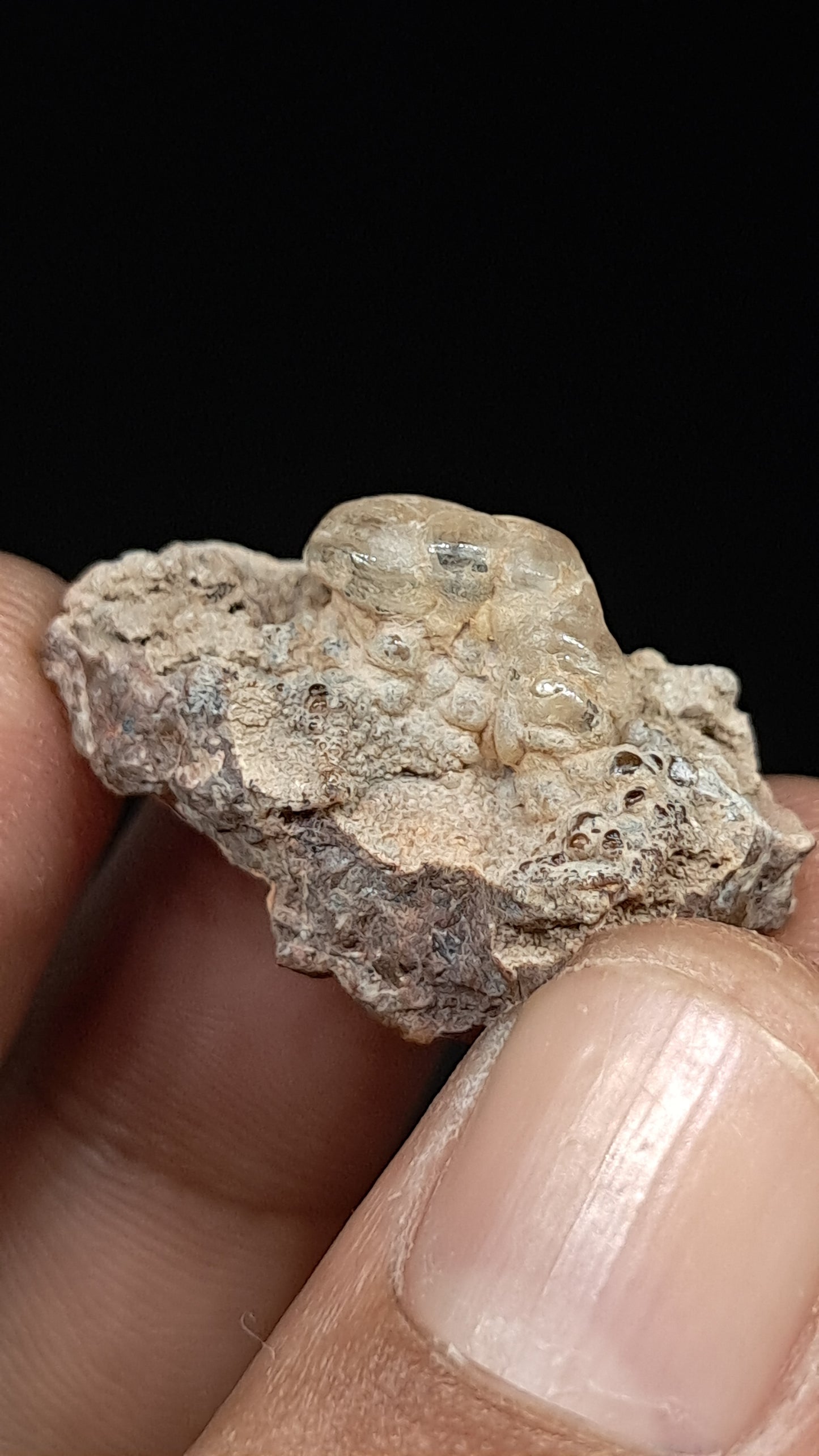Hyalite Opal on Matrix (Mexico) Rough Crystal Stone | UV-Reactive Mineral Specimen #OH5