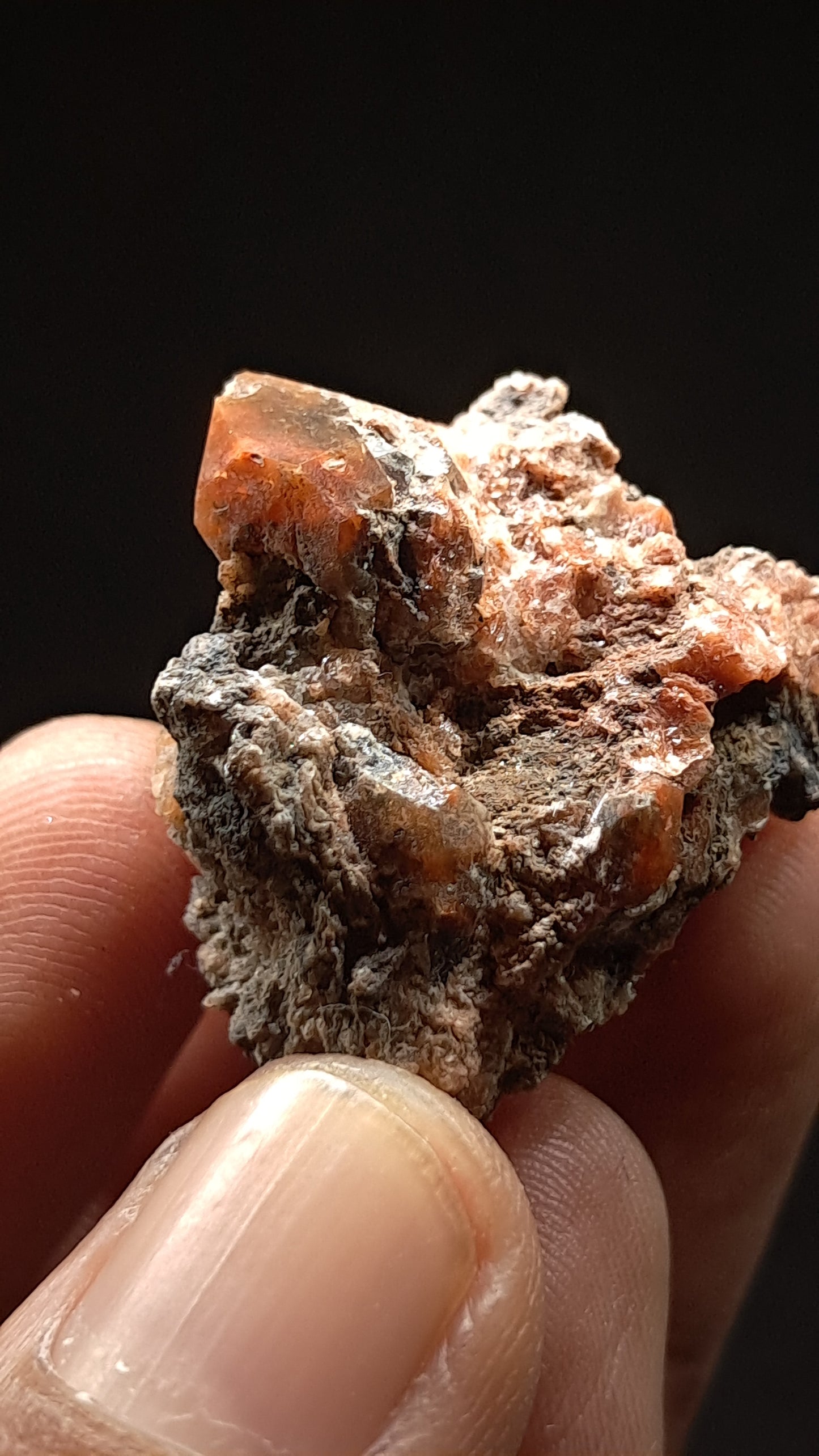 Jacinto de Compostela Quartz On Matrix | Natural Crystal | Mineral Specimen #JCQ3
