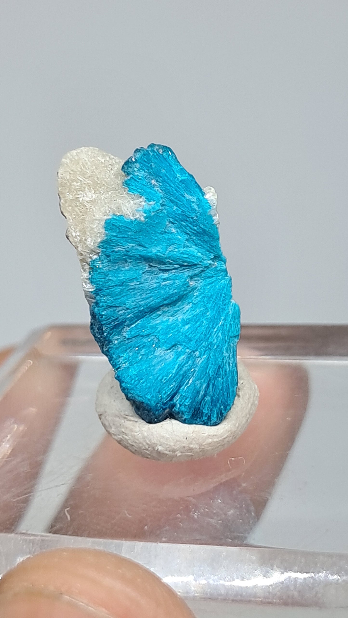 Cavansita en Matriz (Wagholi) Cristal en Bruto | Piedra Natural | Ejemplar Mineral Raro #CV67
