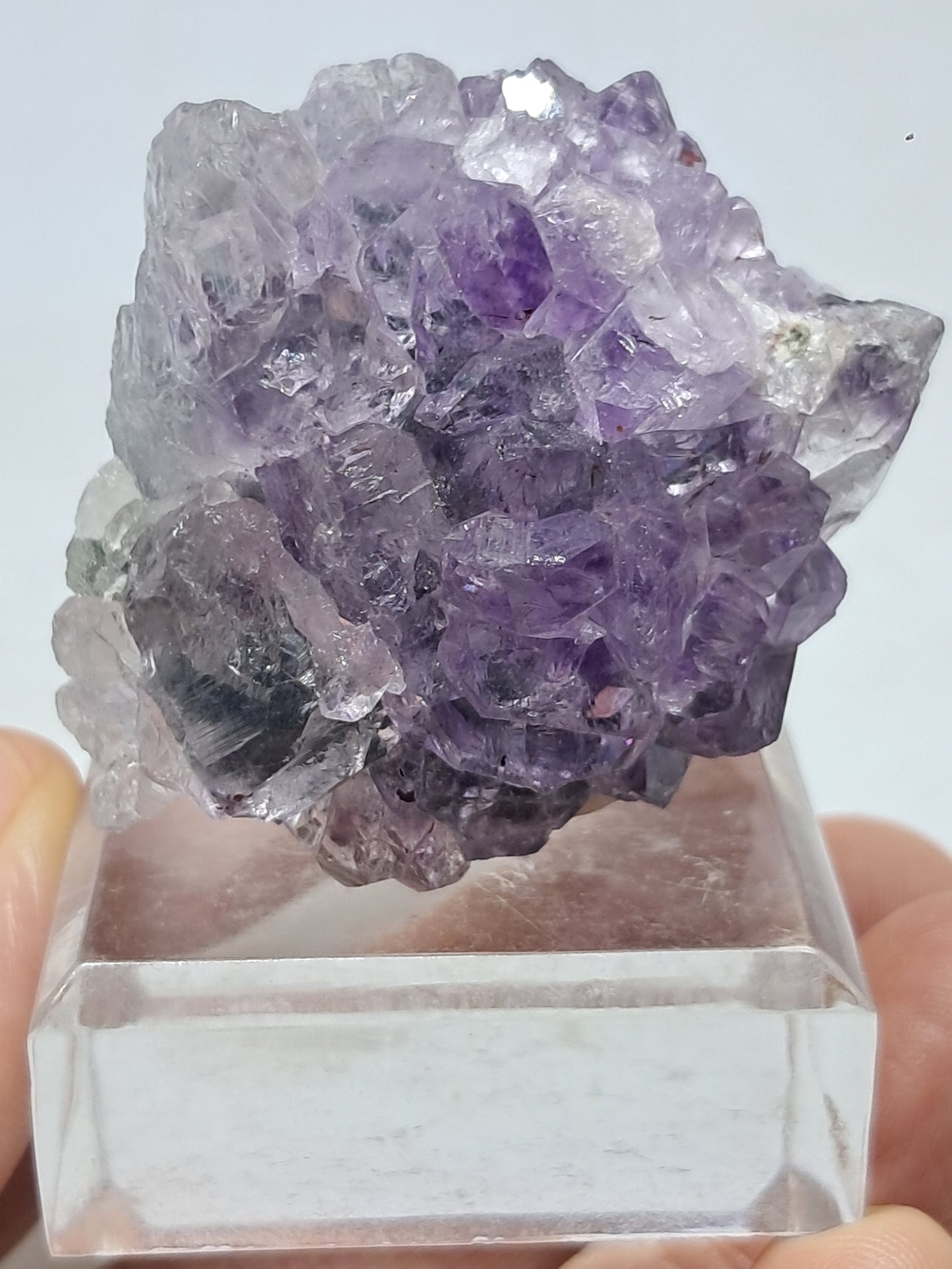 Amatista Elestial sobre matriz de hematita, goethita y calcedonia (Karur) | Cúmulo de cristales | Piedra natural | Ejemplar mineral n.° KA98