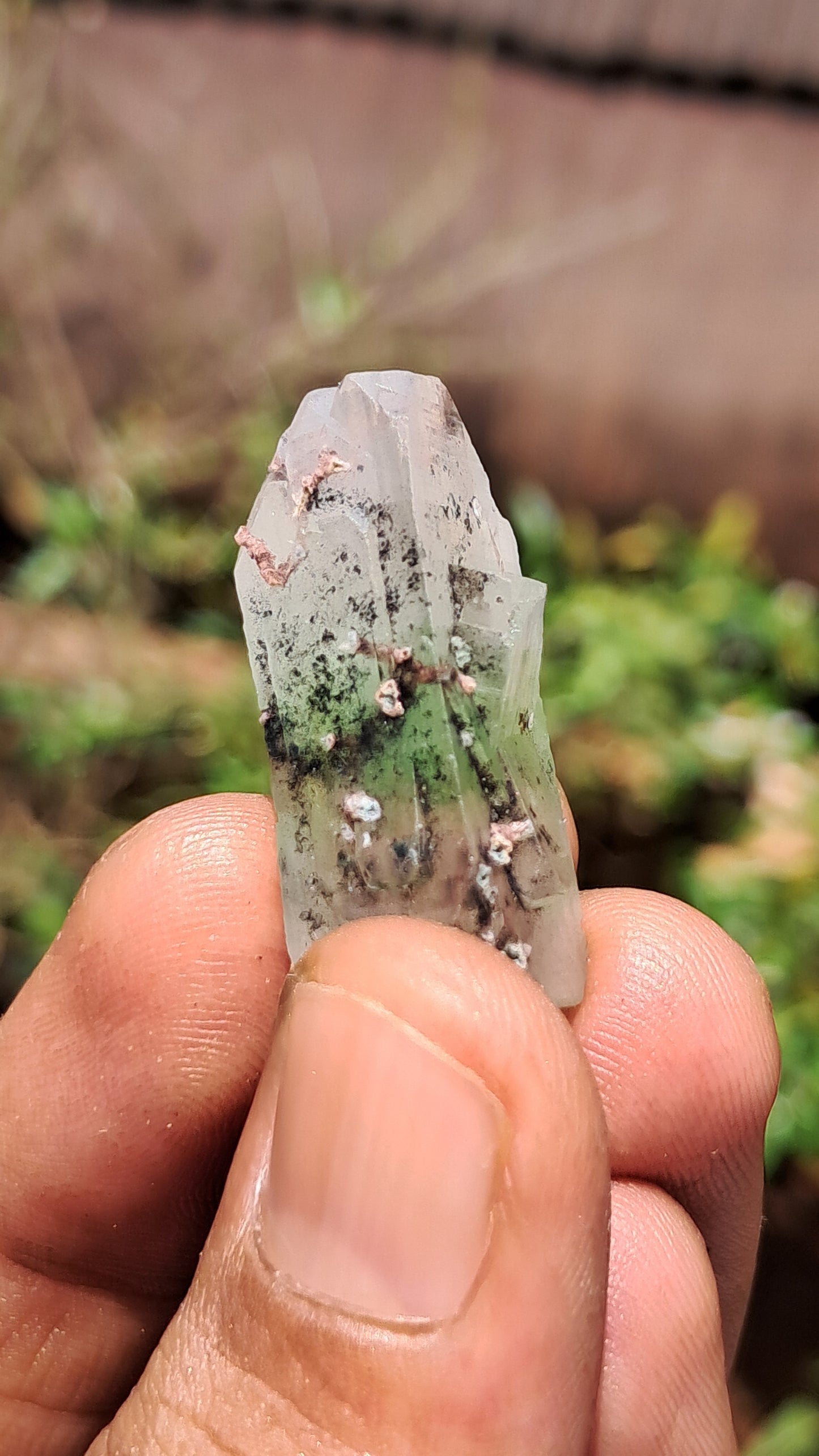 Green Apophyllite (Fluorapophyllite) (Ajanta) Natural Crystal | Mineral Specimen #GA26