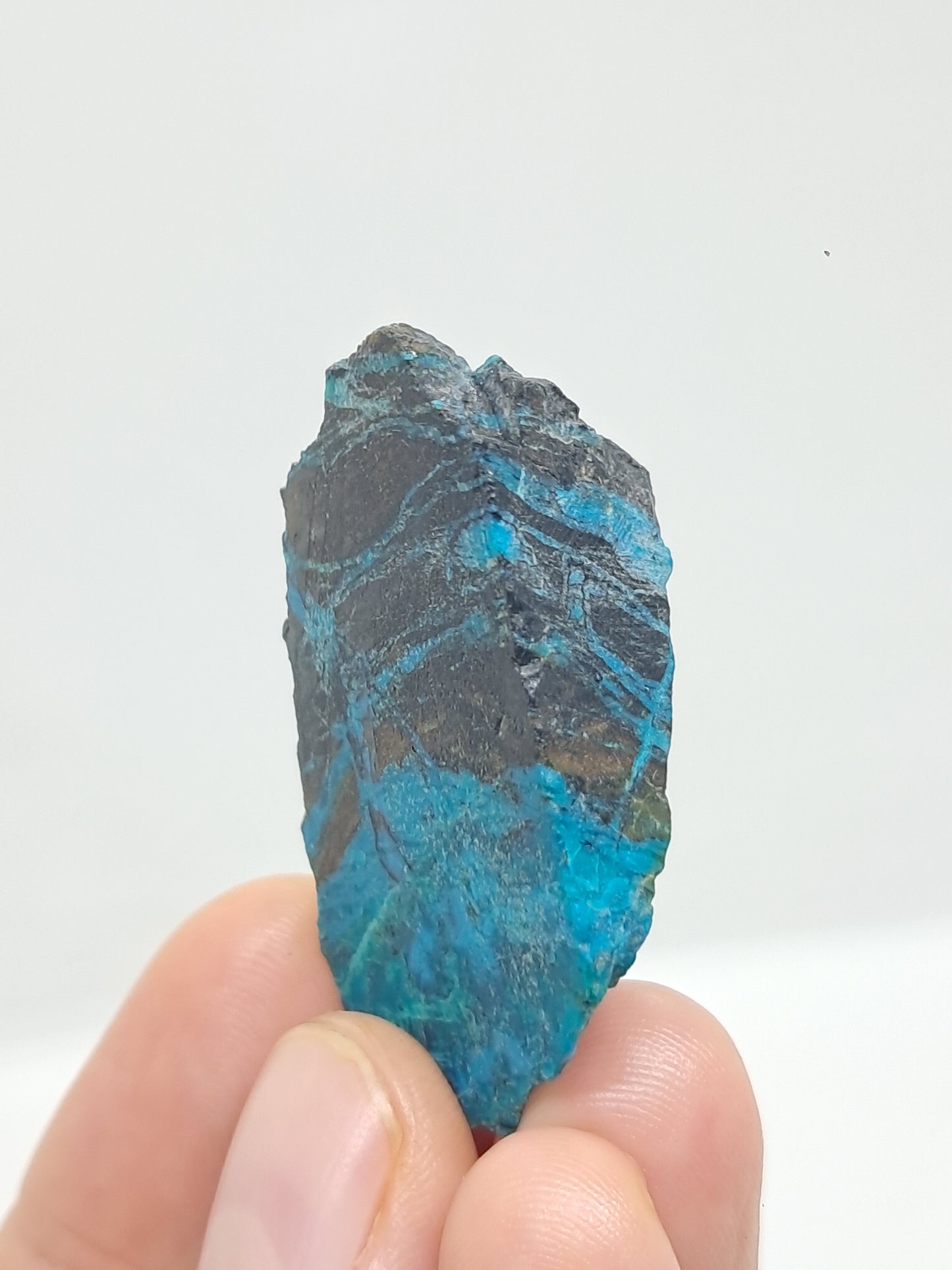 Blue Opal from Chile (Atacama) *New Find*| Rough Natural Stone | Rare Mineral Specimen #CBO3