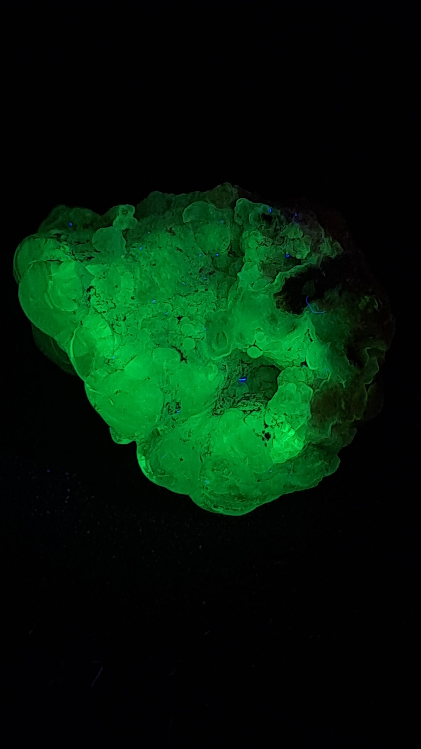 Hyalite Opal on Matrix (Mexico) Rough Crystal Stone | UV-Reactive Mineral Specimen #OH3