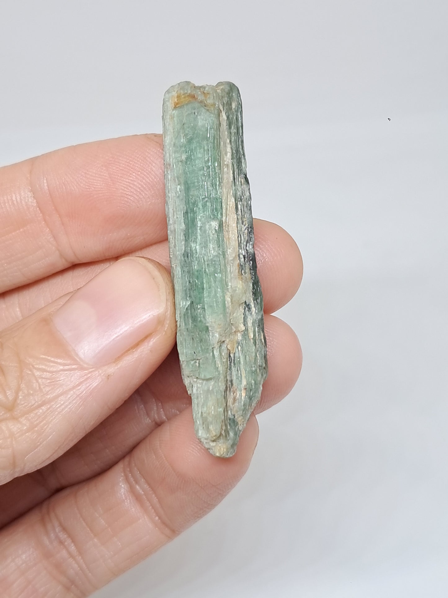 Green Kyanite (Tamil Nadu) Natural Stone #KY7