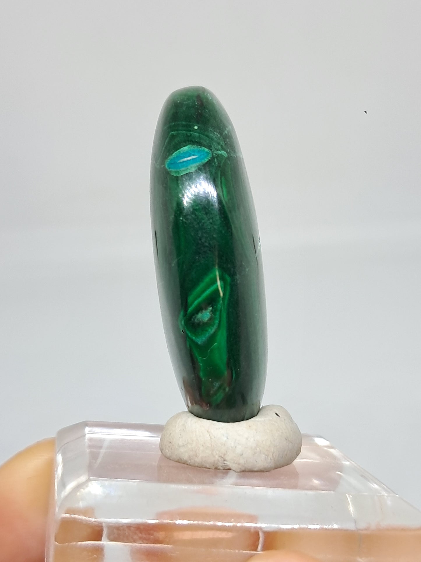 Chrysocolla Malachite Palmstone | Polished Natural Stone | Good Quality #CM25