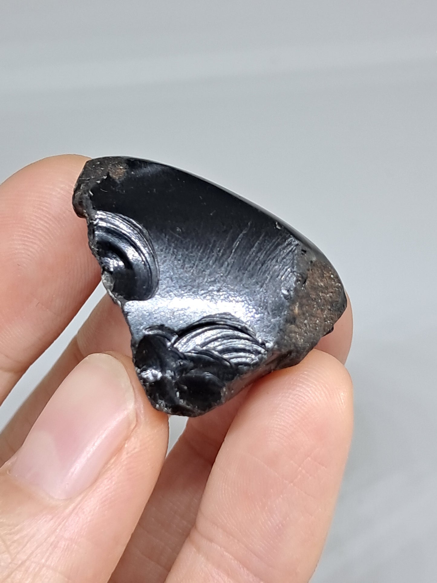 Rainbow Obsidian (Mexico) Natural Stone | Half Polished Half Rough #RO13
