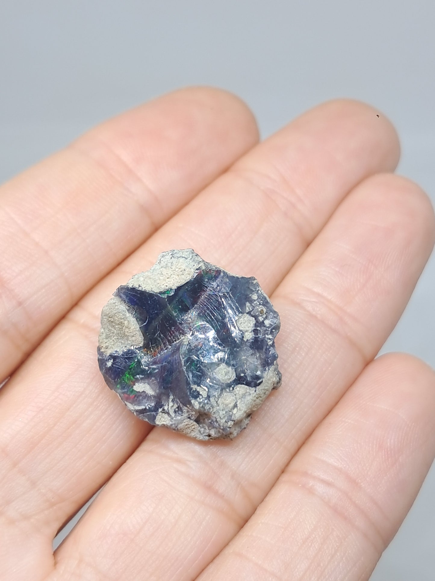 Natural Ethiopian Opal | Black Hydrophane Opal #OP26