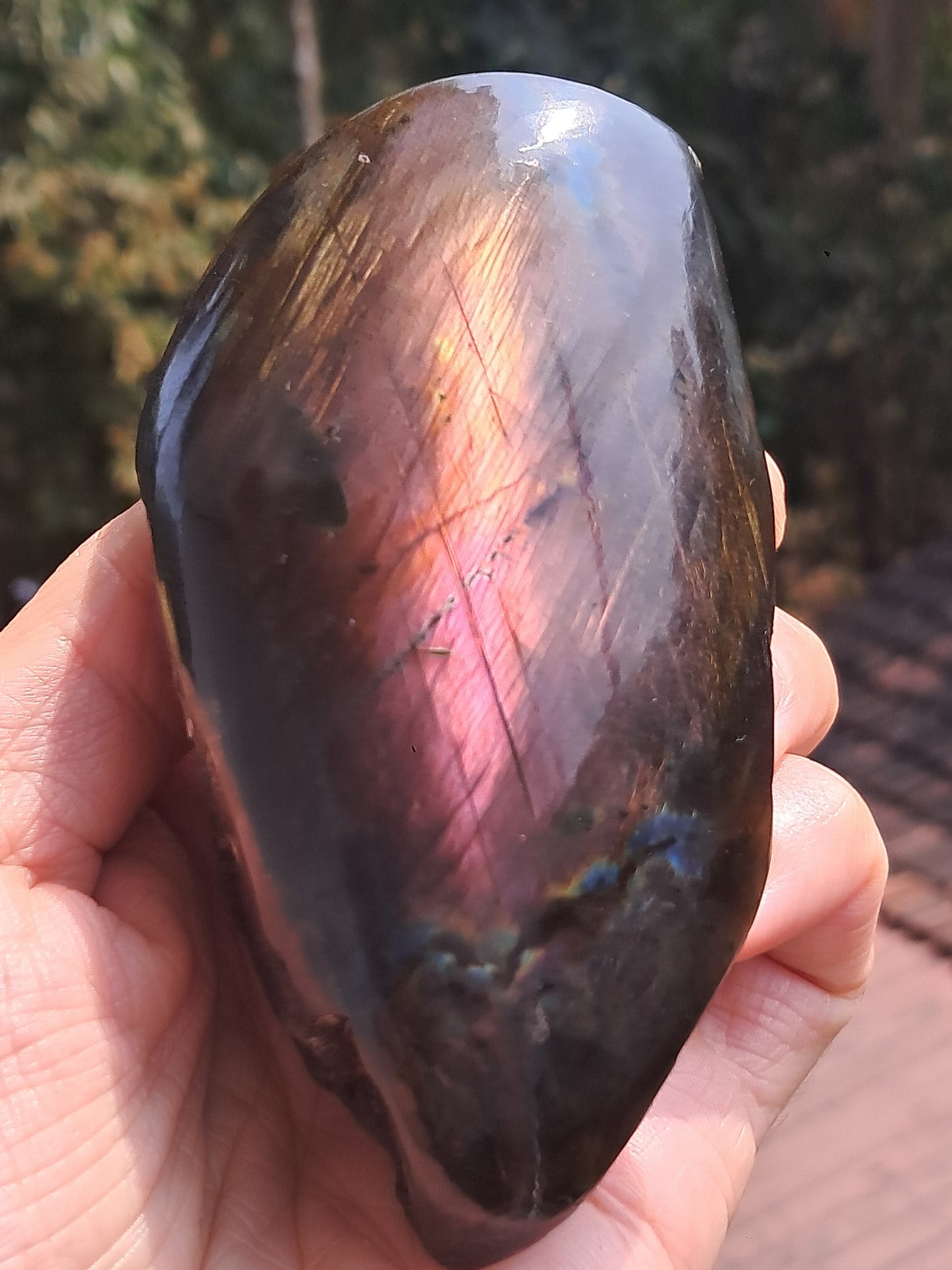 Labradorite |Natural Crystal | Half Polished Half Rough Stone | Purple Red Flash | Good Iridiscence #LB1