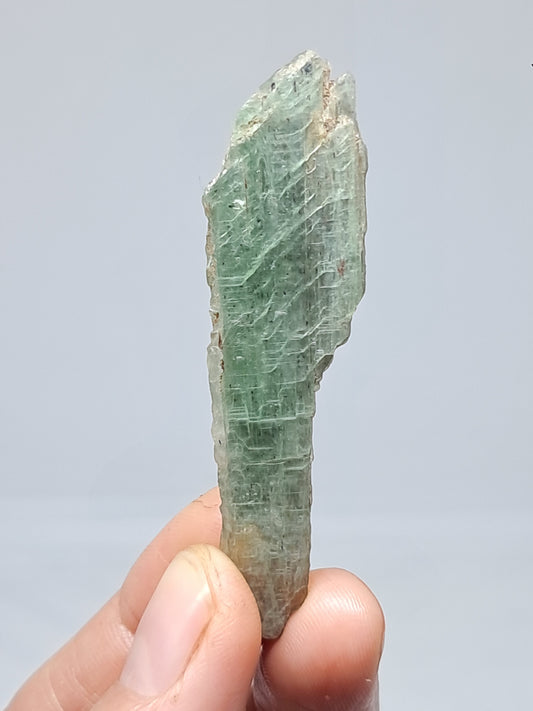 Green Kyanite (Tamil Nadu) Natural Crystal #KY9