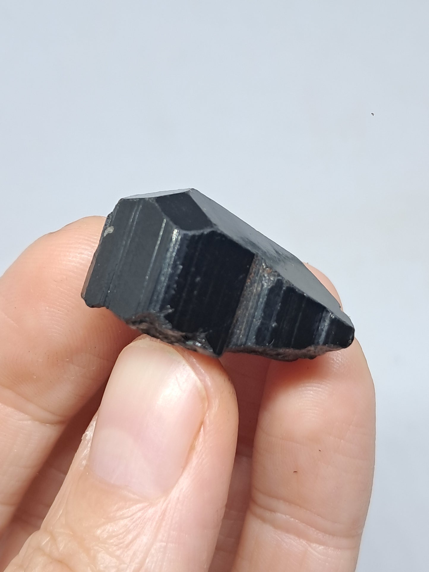 Black Tourmaline Crystal (Karnataka) Naturally Terminated | Natural Stone | Mineral Specimen #BT7