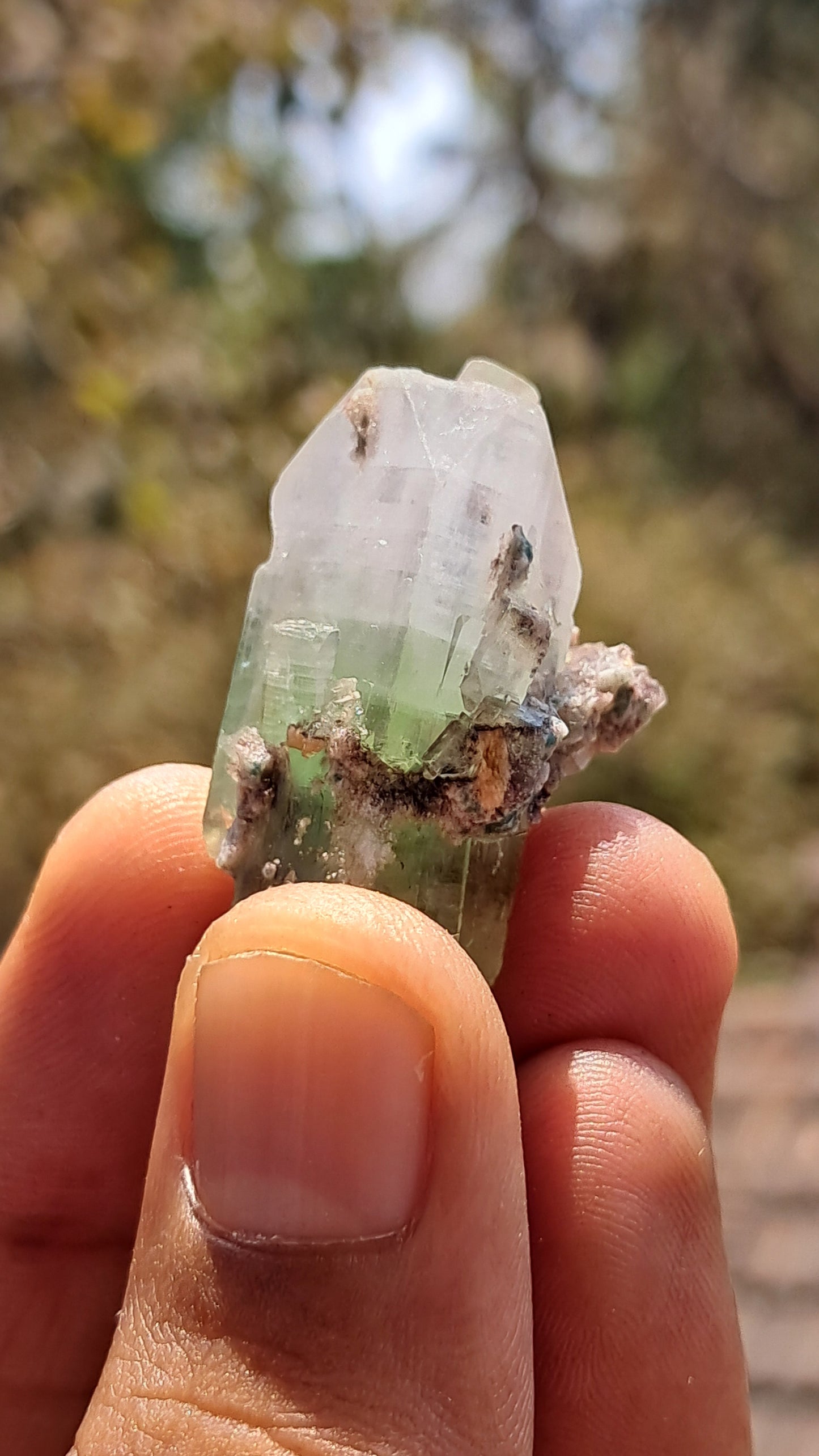 Green Apophyllite (Fluorapophyllite) on Matrix (Ajanta) Natural Crystal | Mineral Specimen #GA27