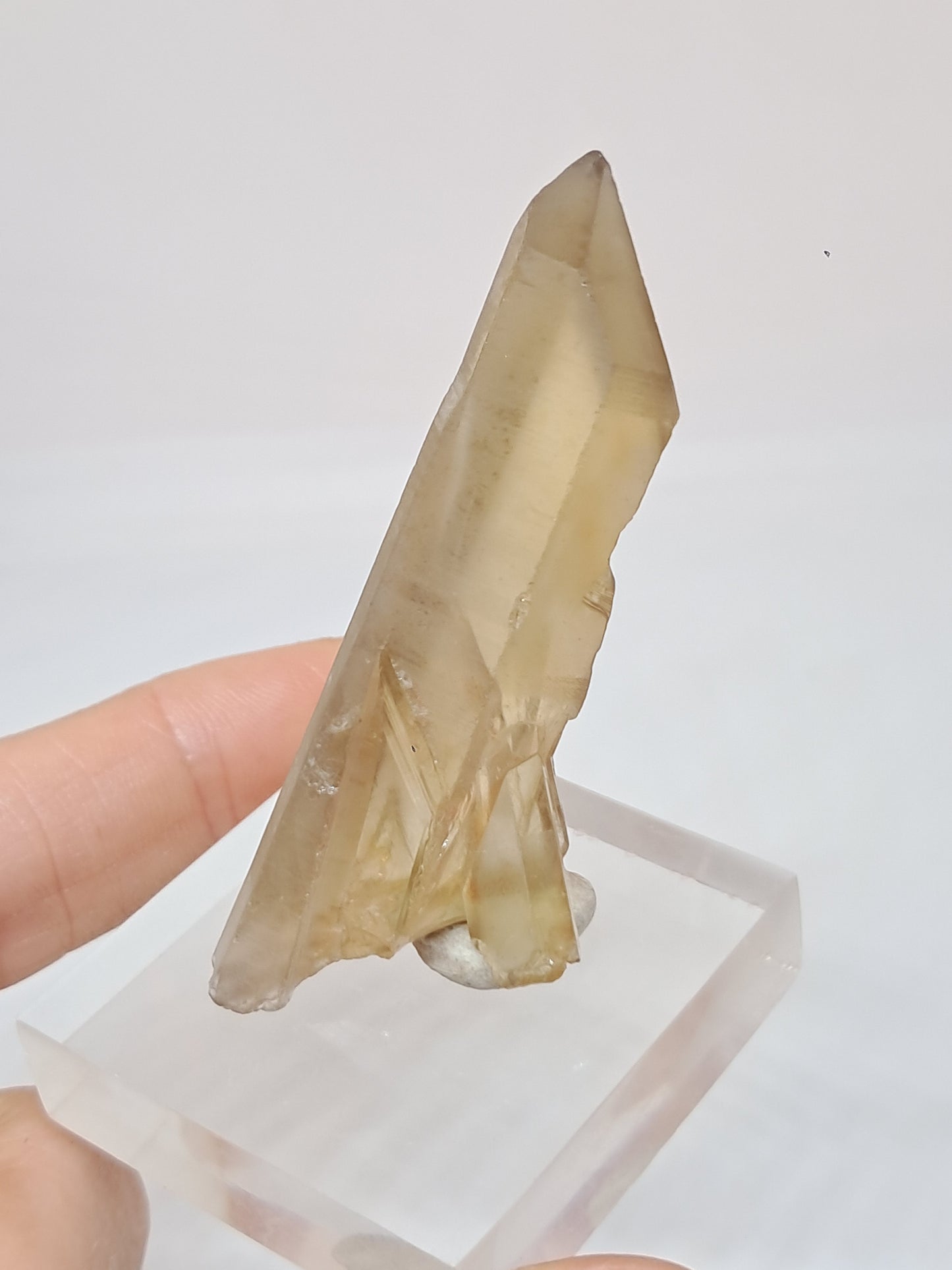 Natural Citrine Stone (DRC) Crystal Point  #CTN26