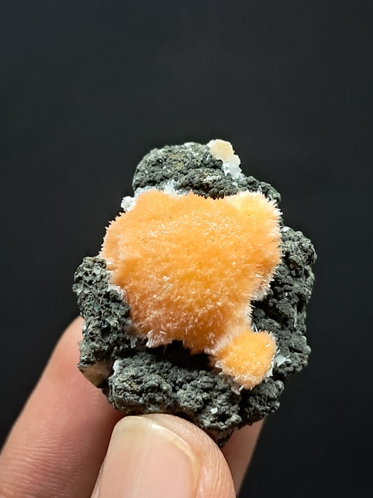 Thomsonite w/ Mesolite in matrix (Madhya Pradesh) Mineral Specimen | Zeolite #THM10