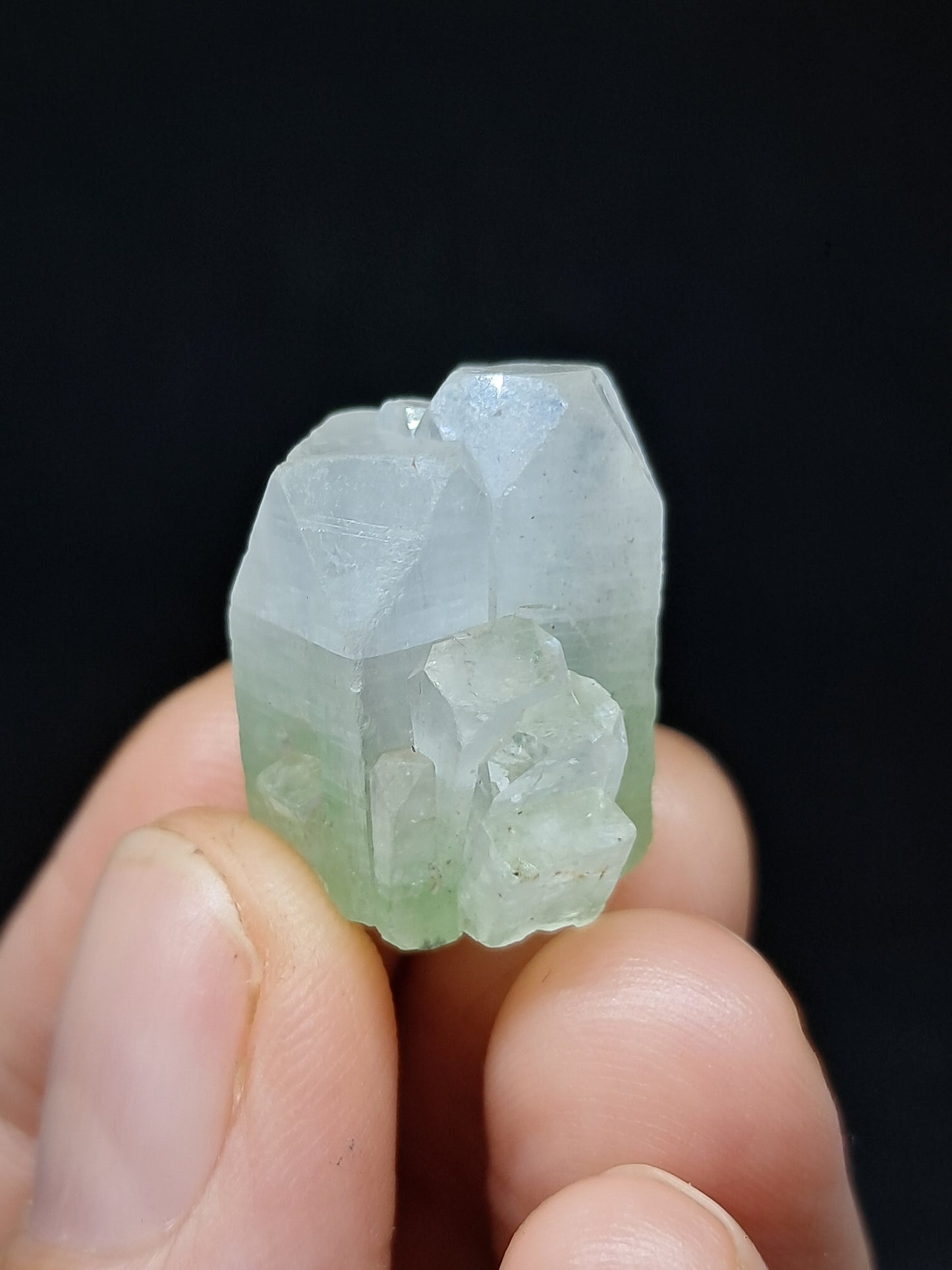 Green Apophyllite (Fluorapophyllite) (Ajanta) Natural Crystal | Mineral Specimen #GA40