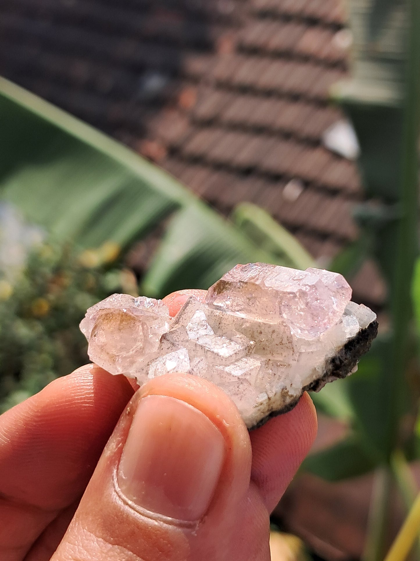 Amethyst Scepter on Matrix from Karur | Super Seven Inclusions | Natural Crystal | Mineral Specimen #KA175